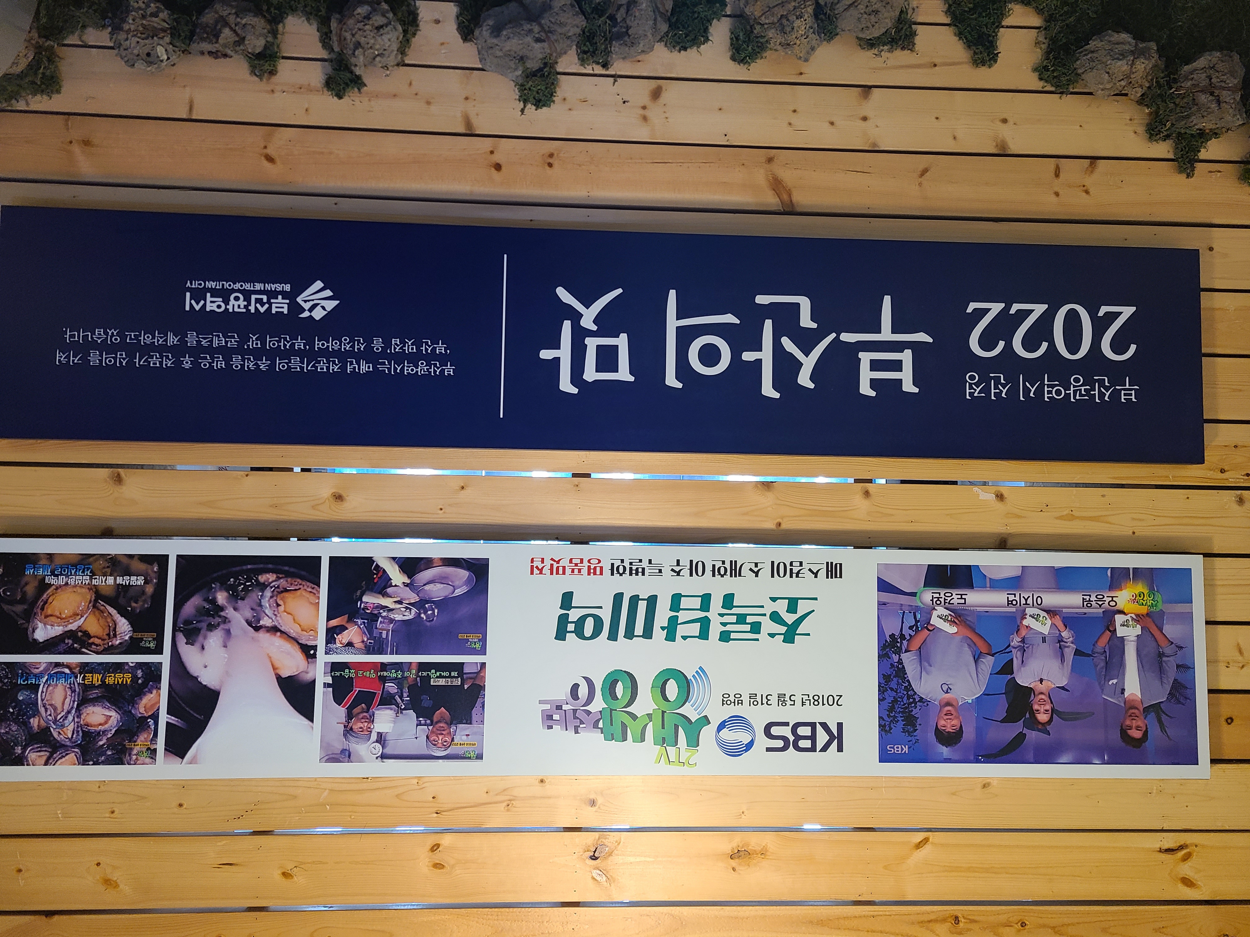 초록담미역 사진 6