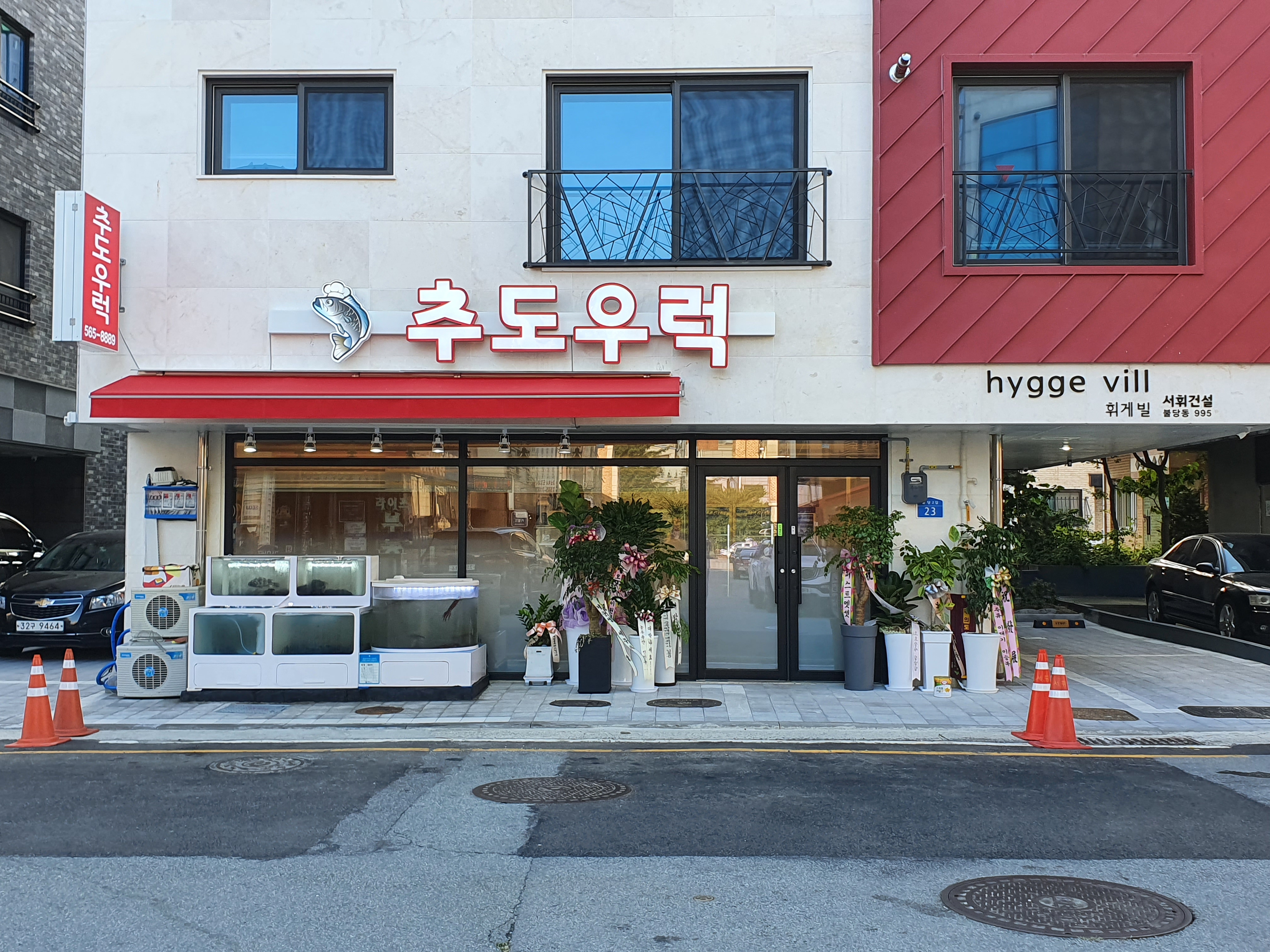 추도우럭 1