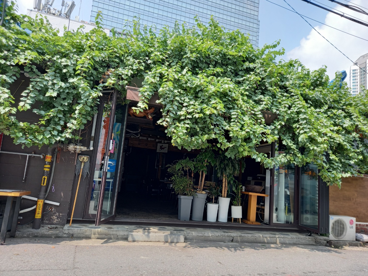 풍미향 사진 3