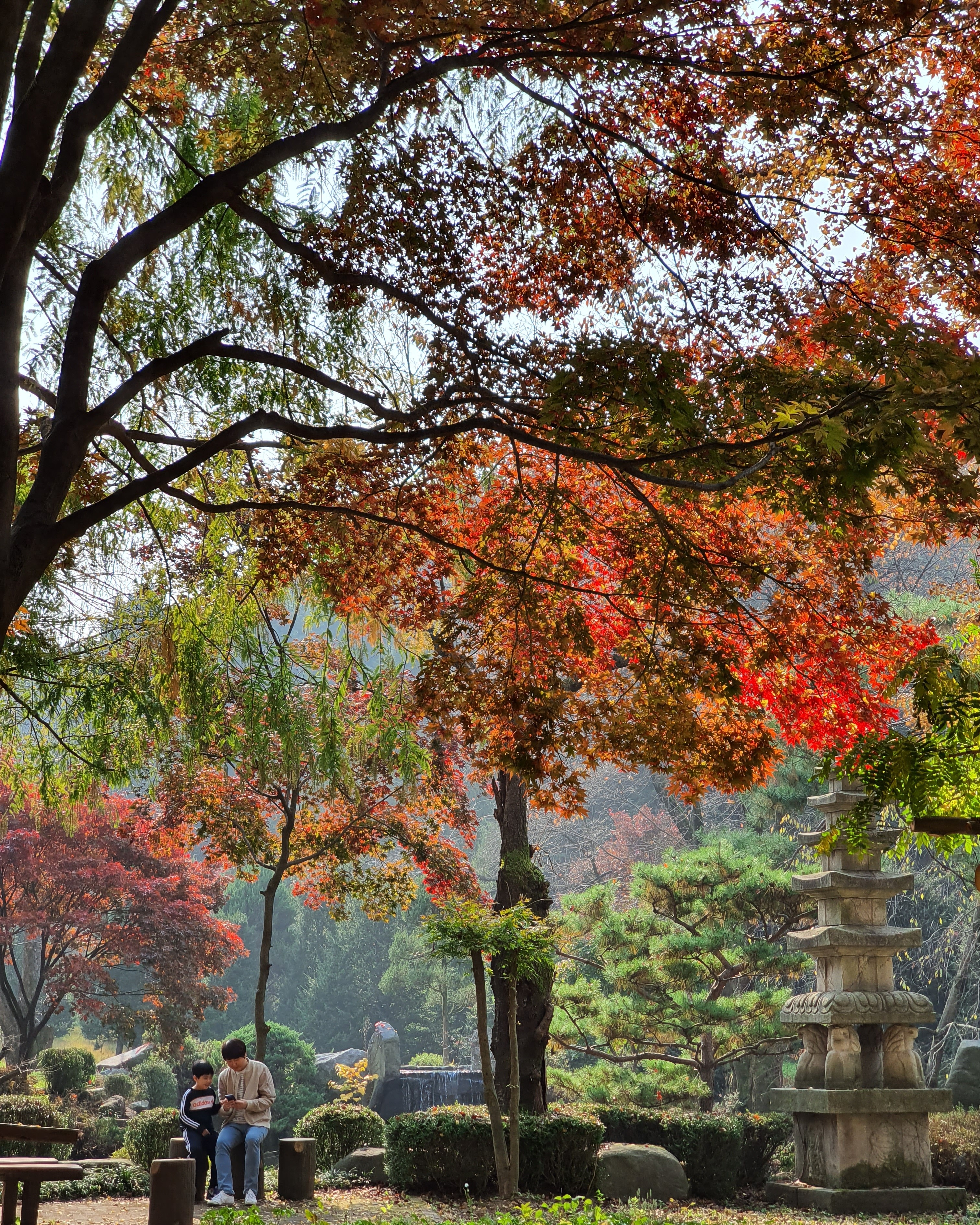 Gohyangsanjang (고향산장) 1