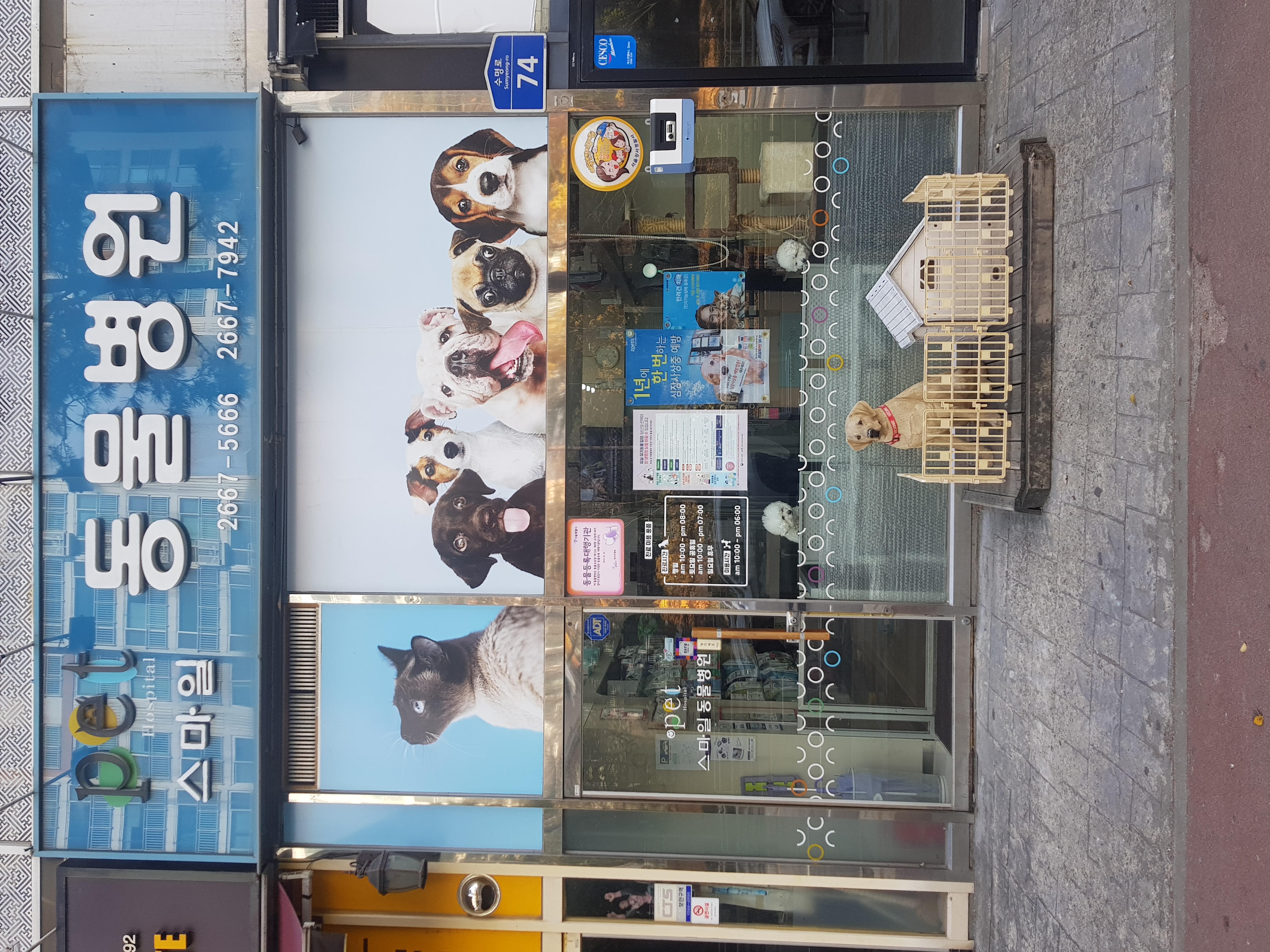 스마일동물병원