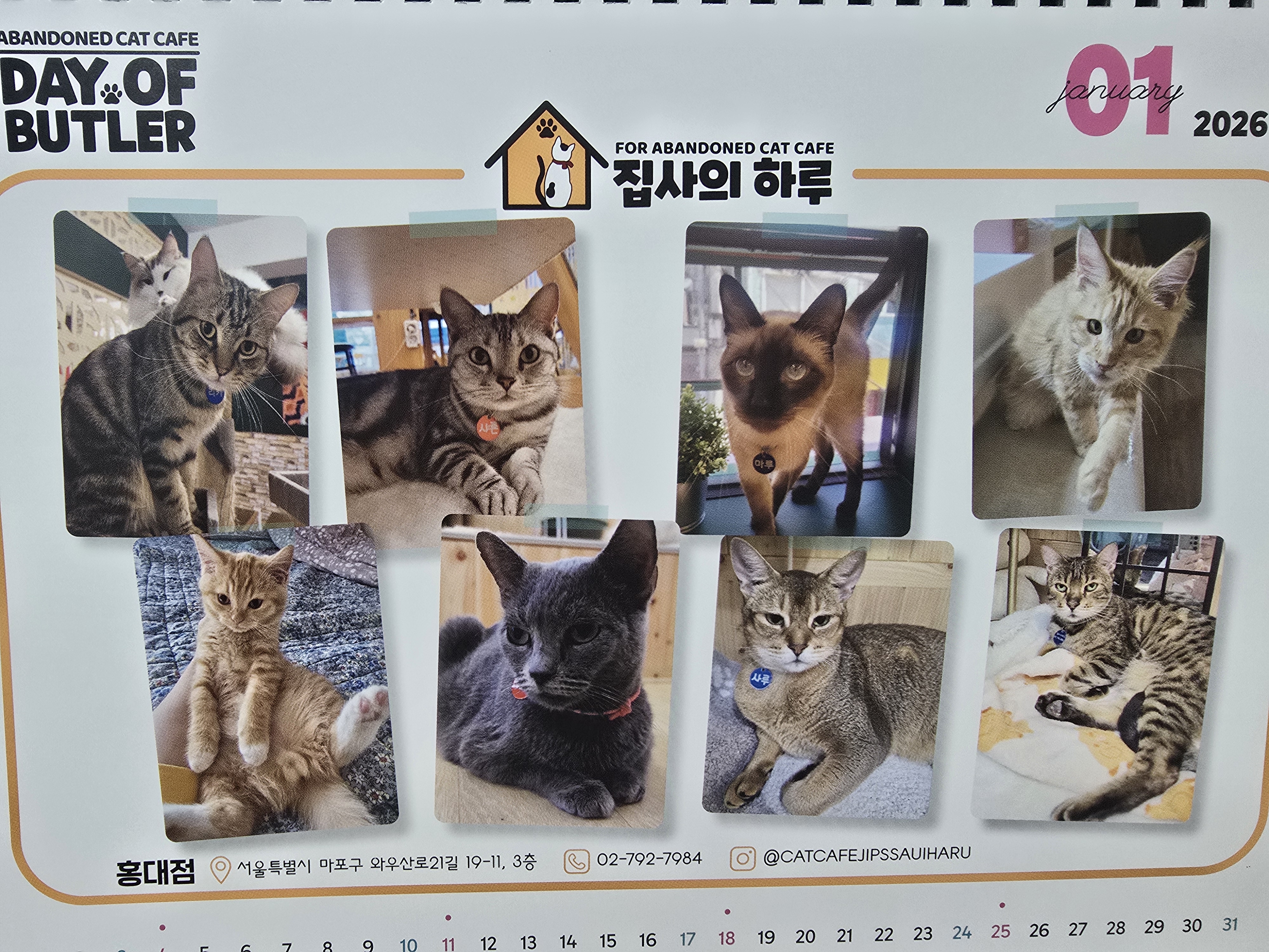집사의하루 홍대점 사진 6