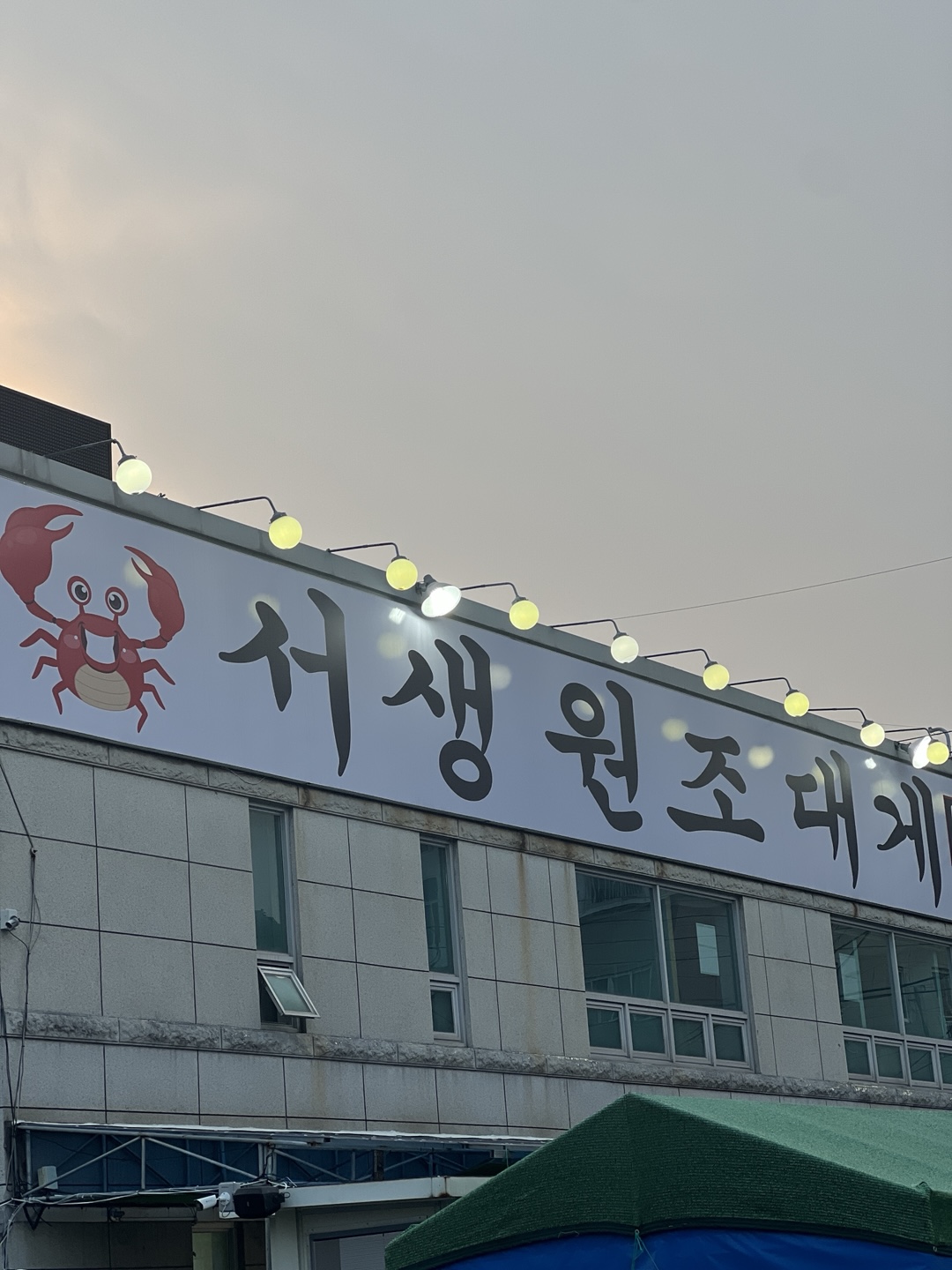 서생원조대게 사진 5