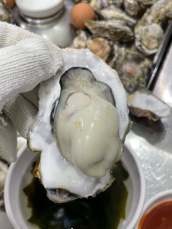 88조개 사진 3