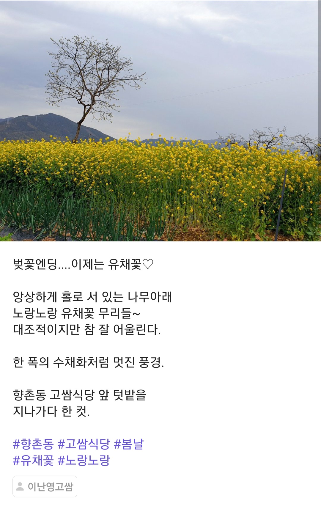고쌈 사진 7