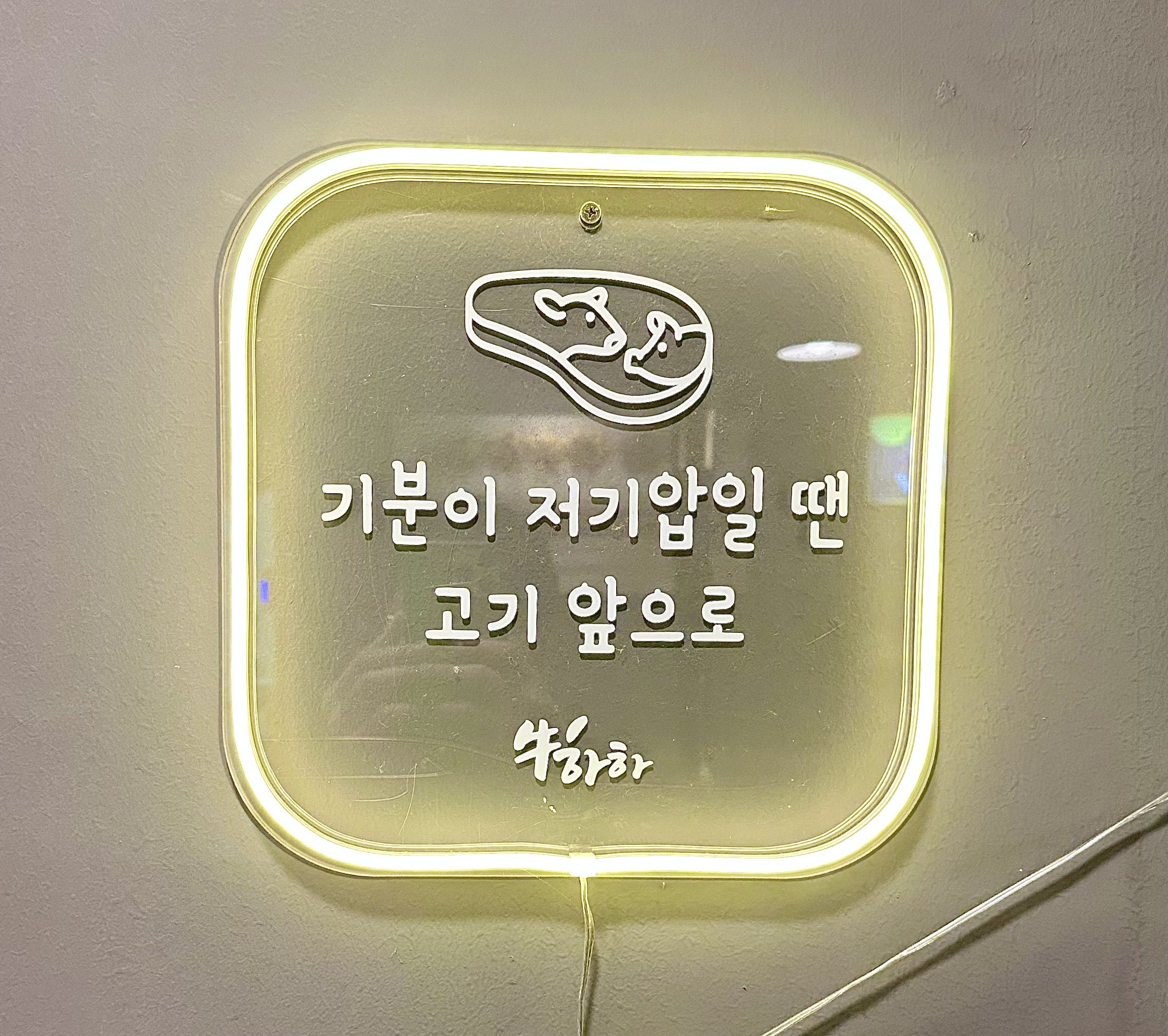 우하하 사진 7