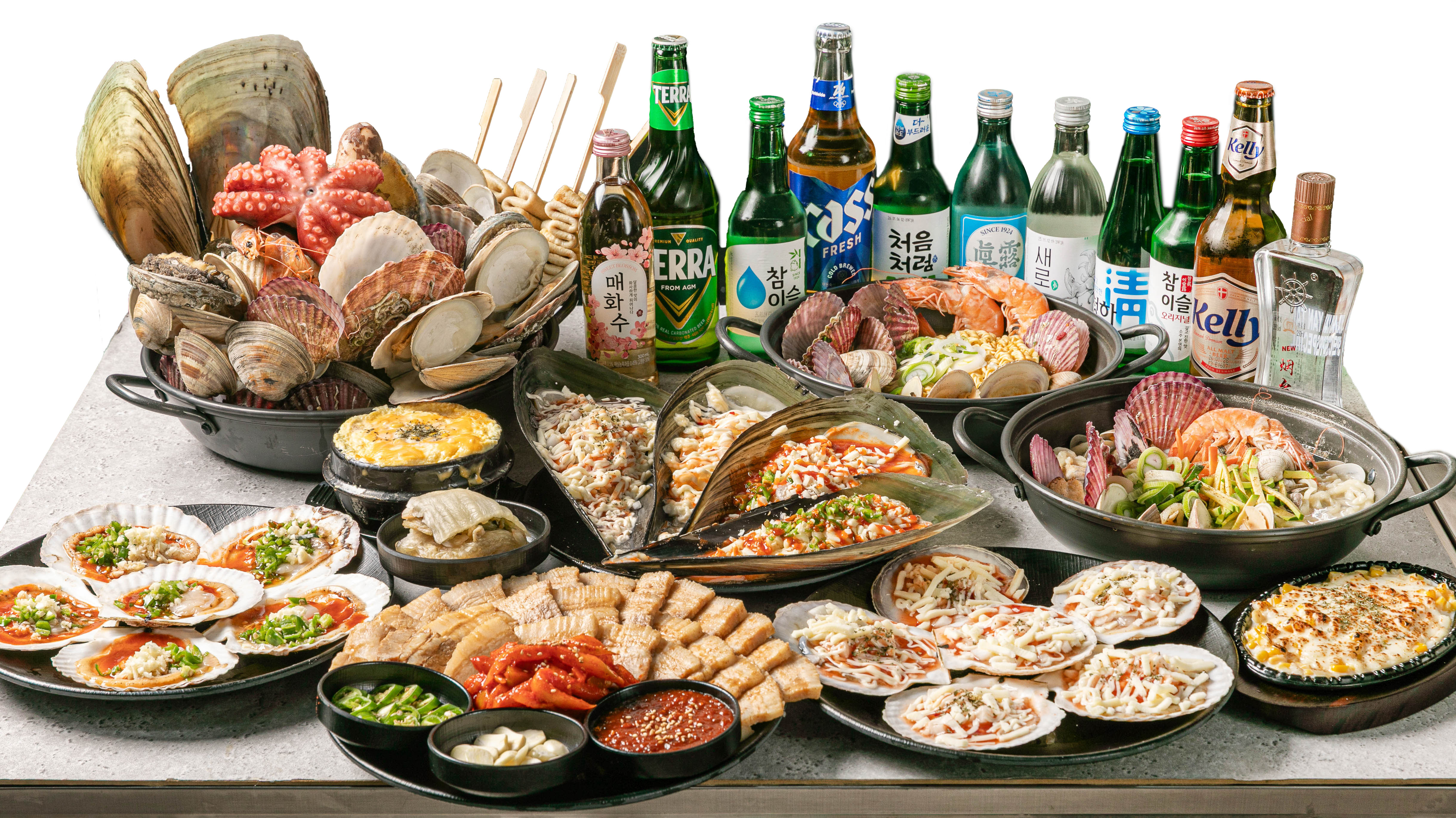 신사조개 사진 7