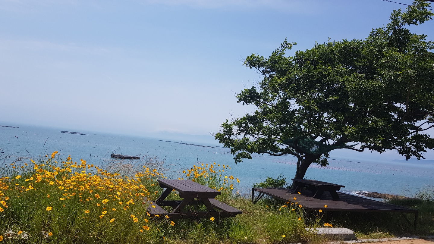 구계등횟집&카페 사진 7