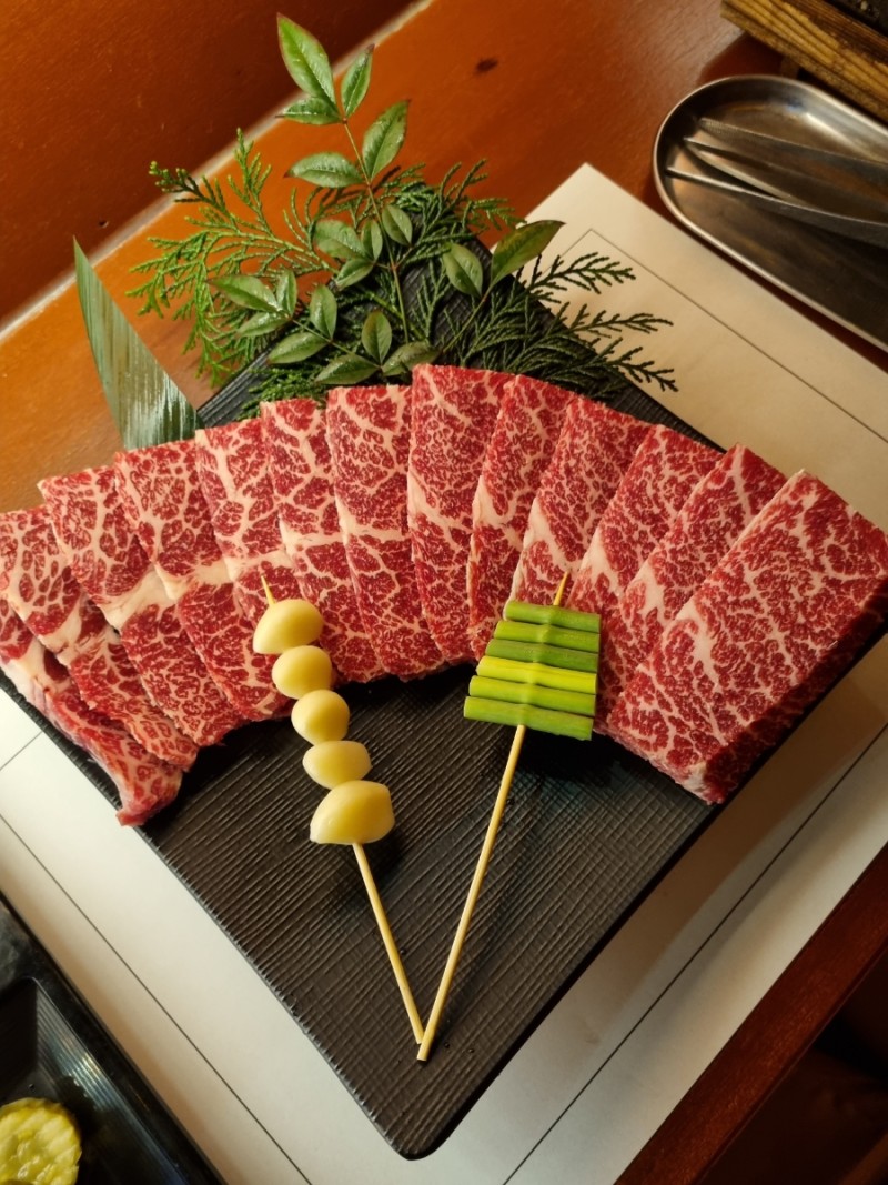 톤보 사진 8