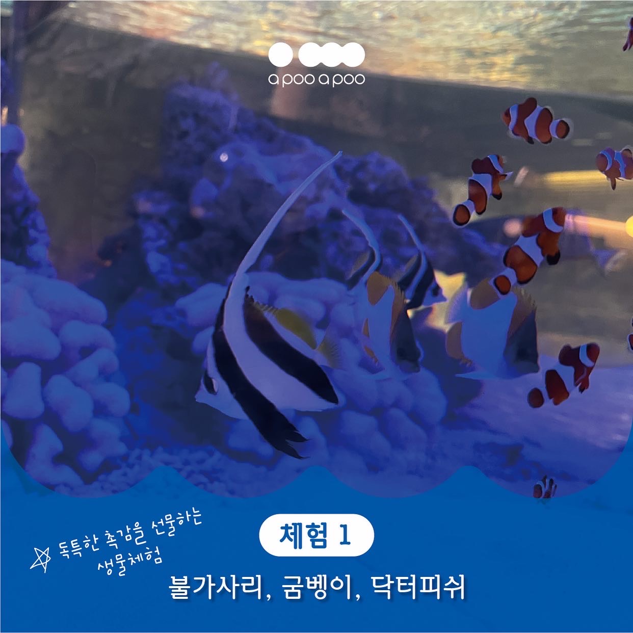 어푸어푸 수원판타지움점 사진 4