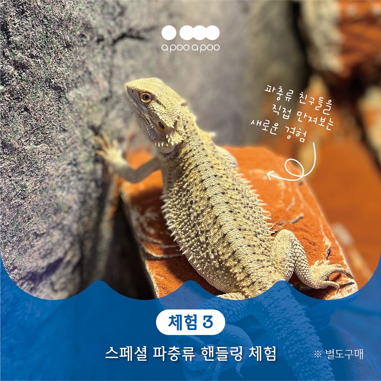 어푸어푸 수원판타지움점 사진 6
