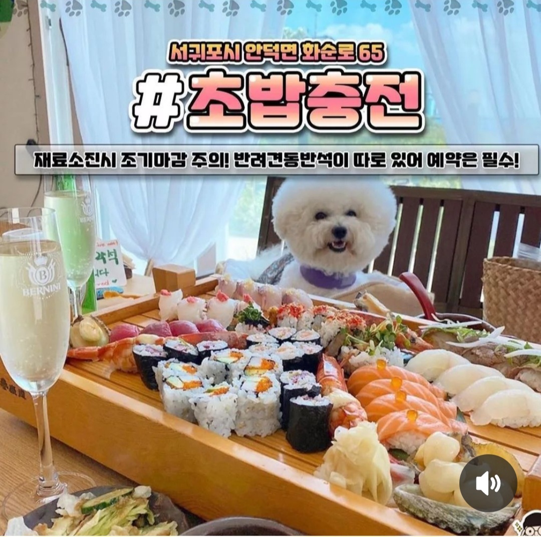 초밥충전 사진 7