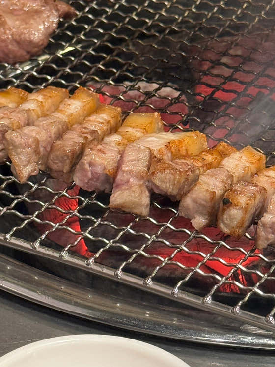 Handoni (한도니) 2