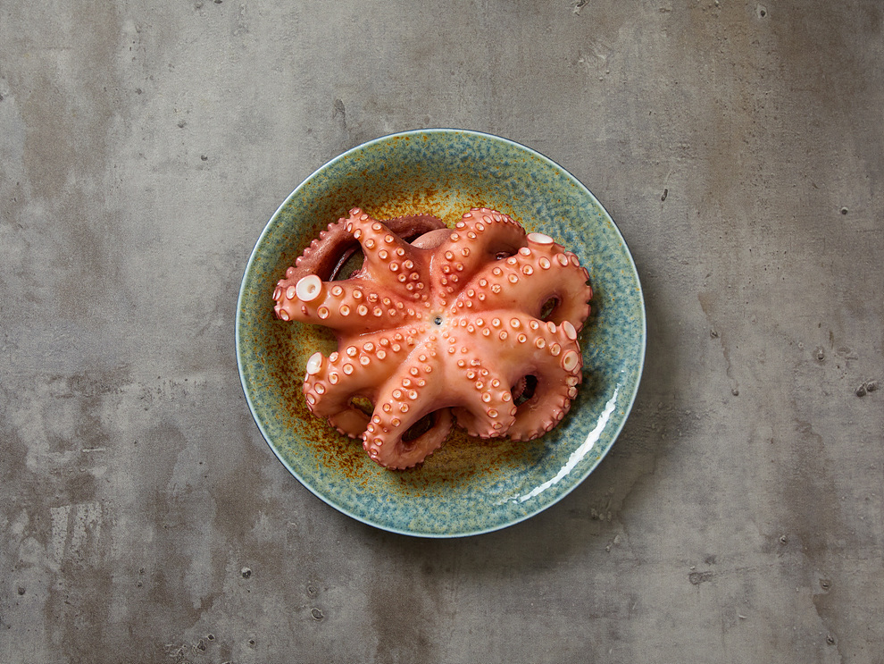 조개진 사진 6
