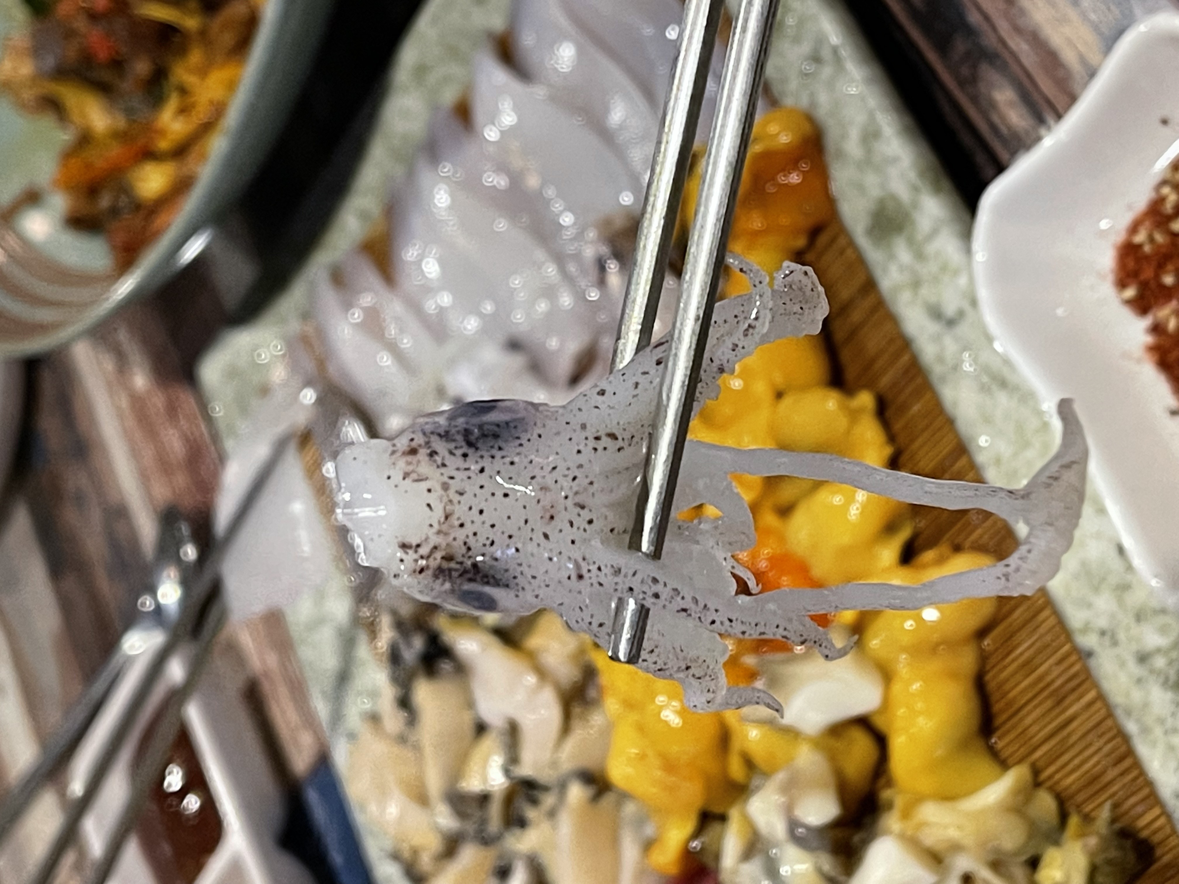 콜라보 사진 8