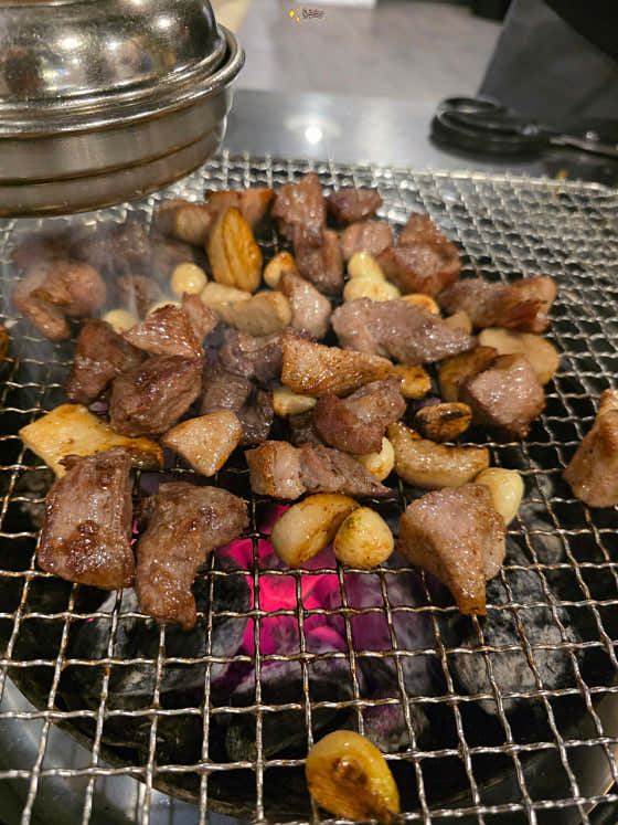 Handoni (한도니) 1