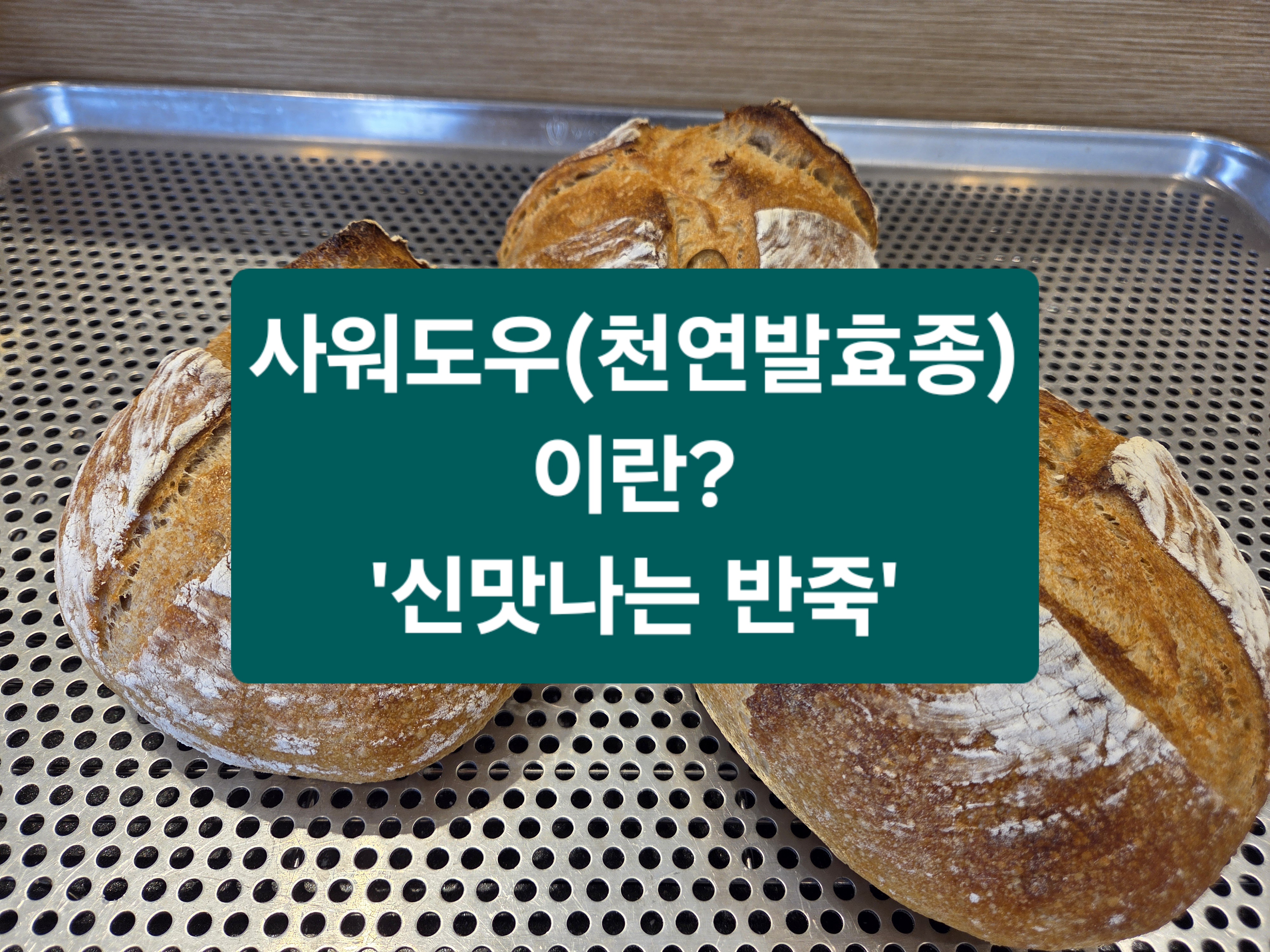 루네빌베이커리 사진 5