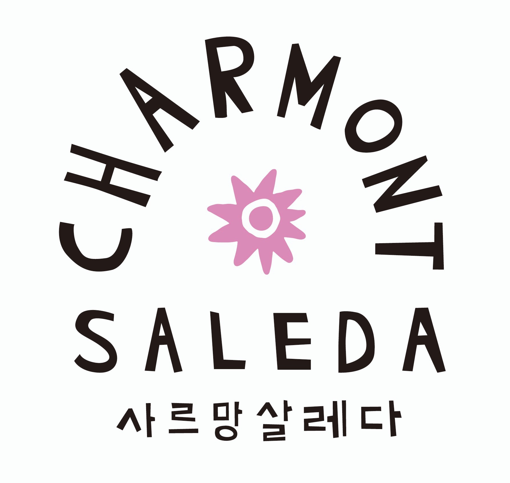 사르망 살레다 대표 사진