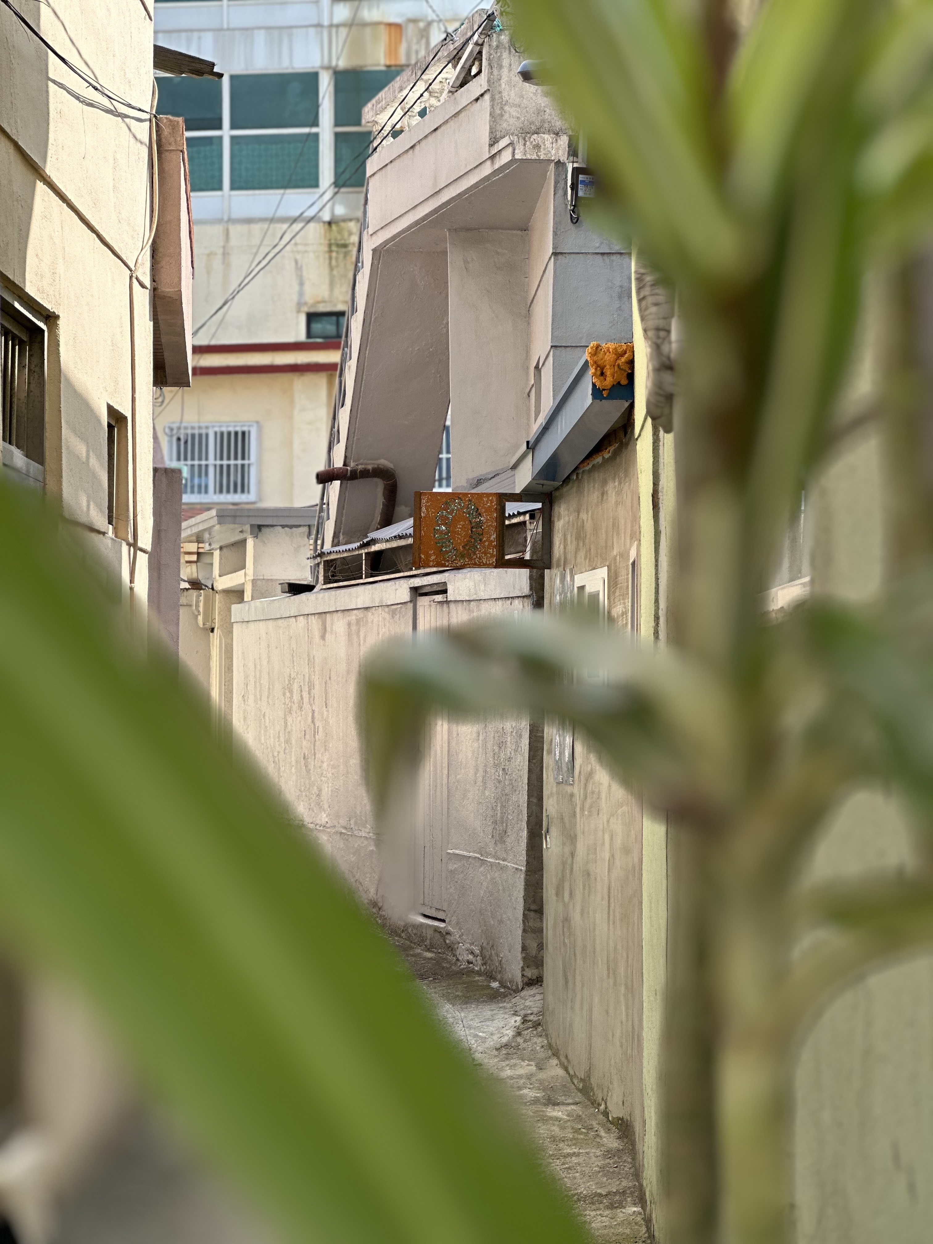 슘 레코드 사진 7