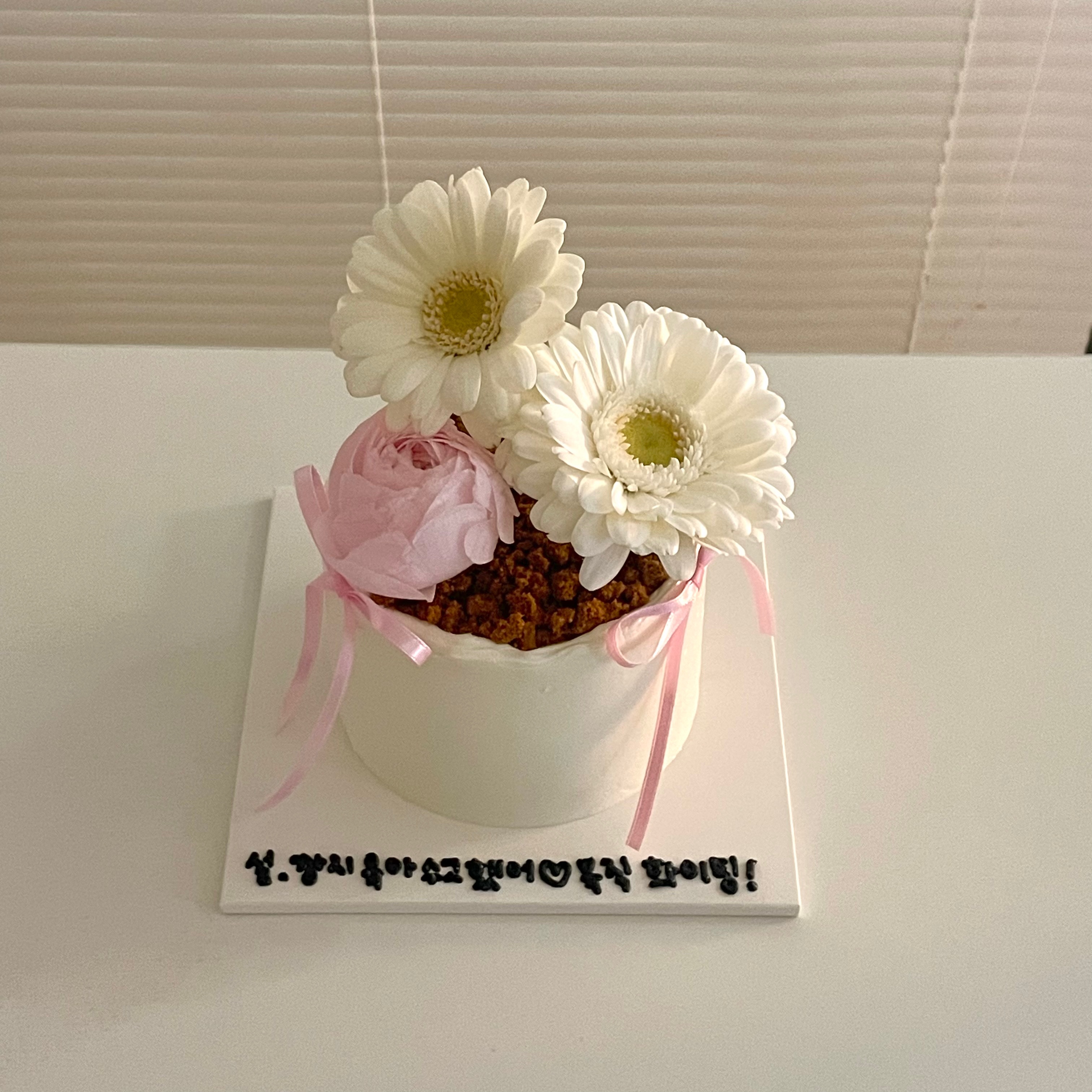 코시 사진 4