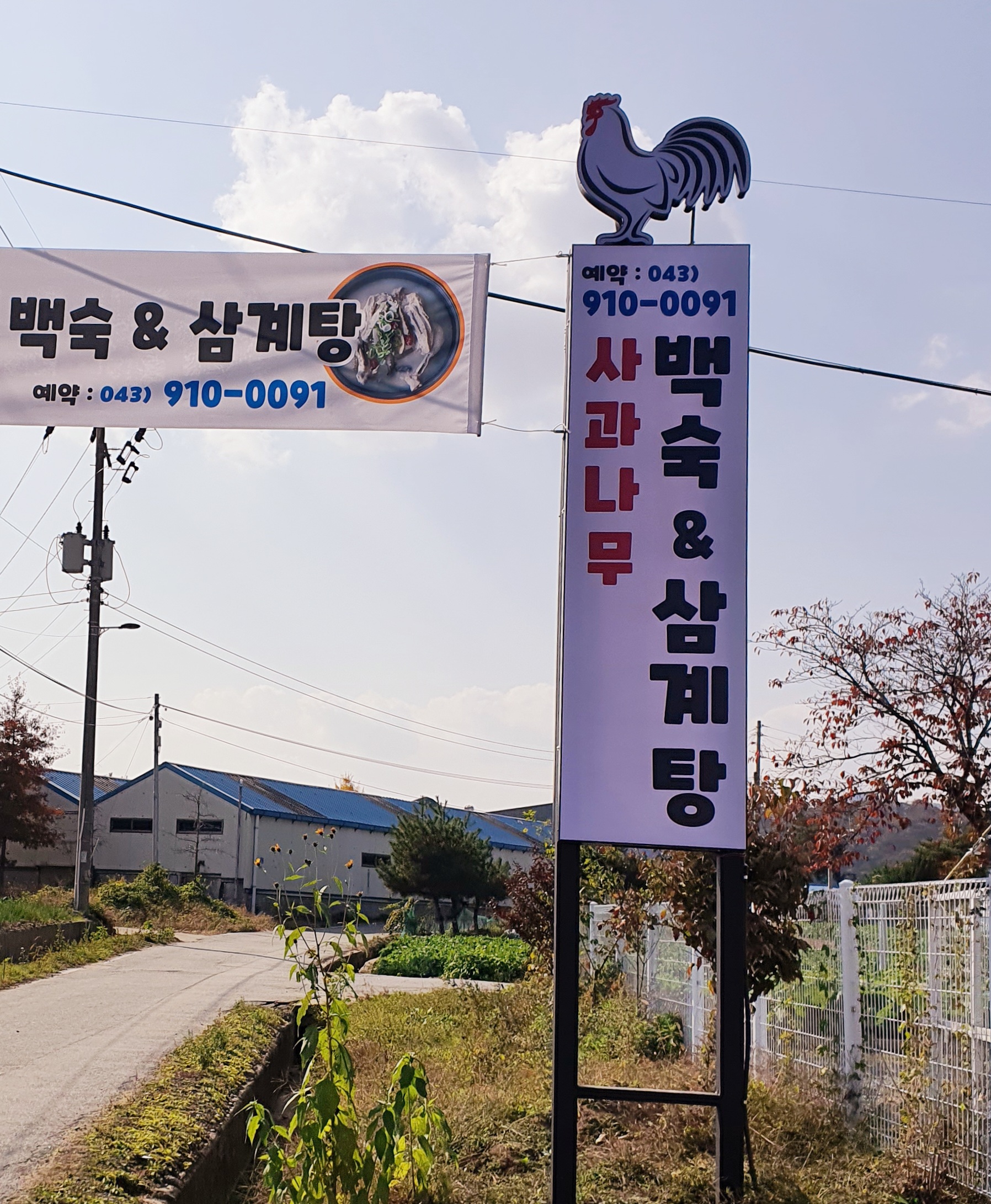 Sagwanamubaeksuk 6
