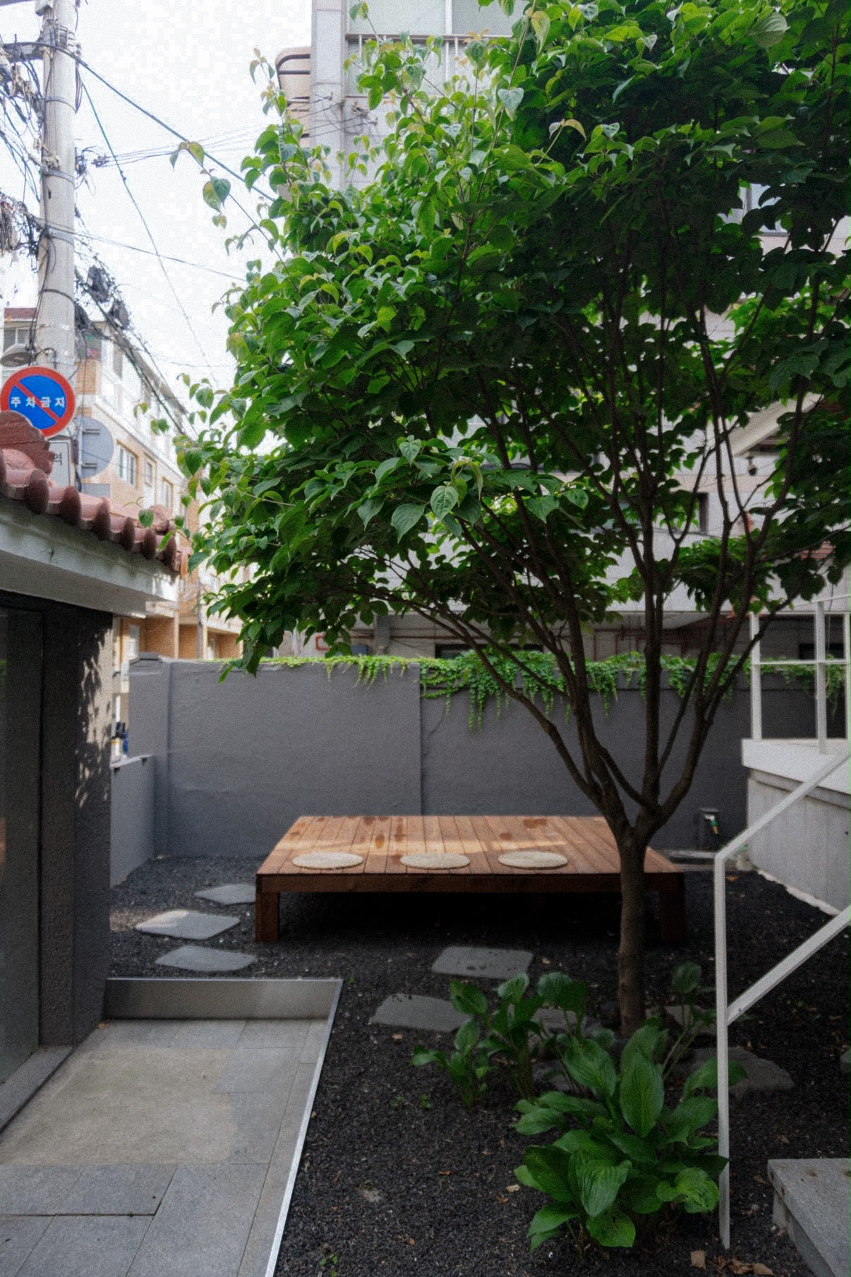 시묵 사진 6