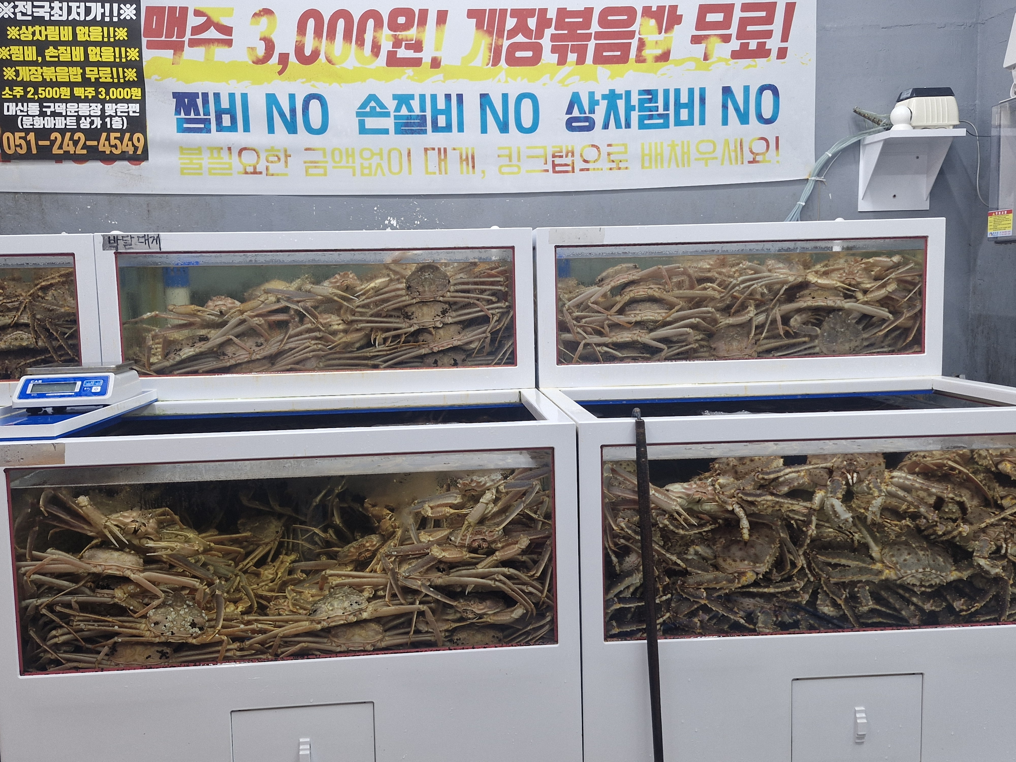 하이수산 구덕운동장점 사진 8