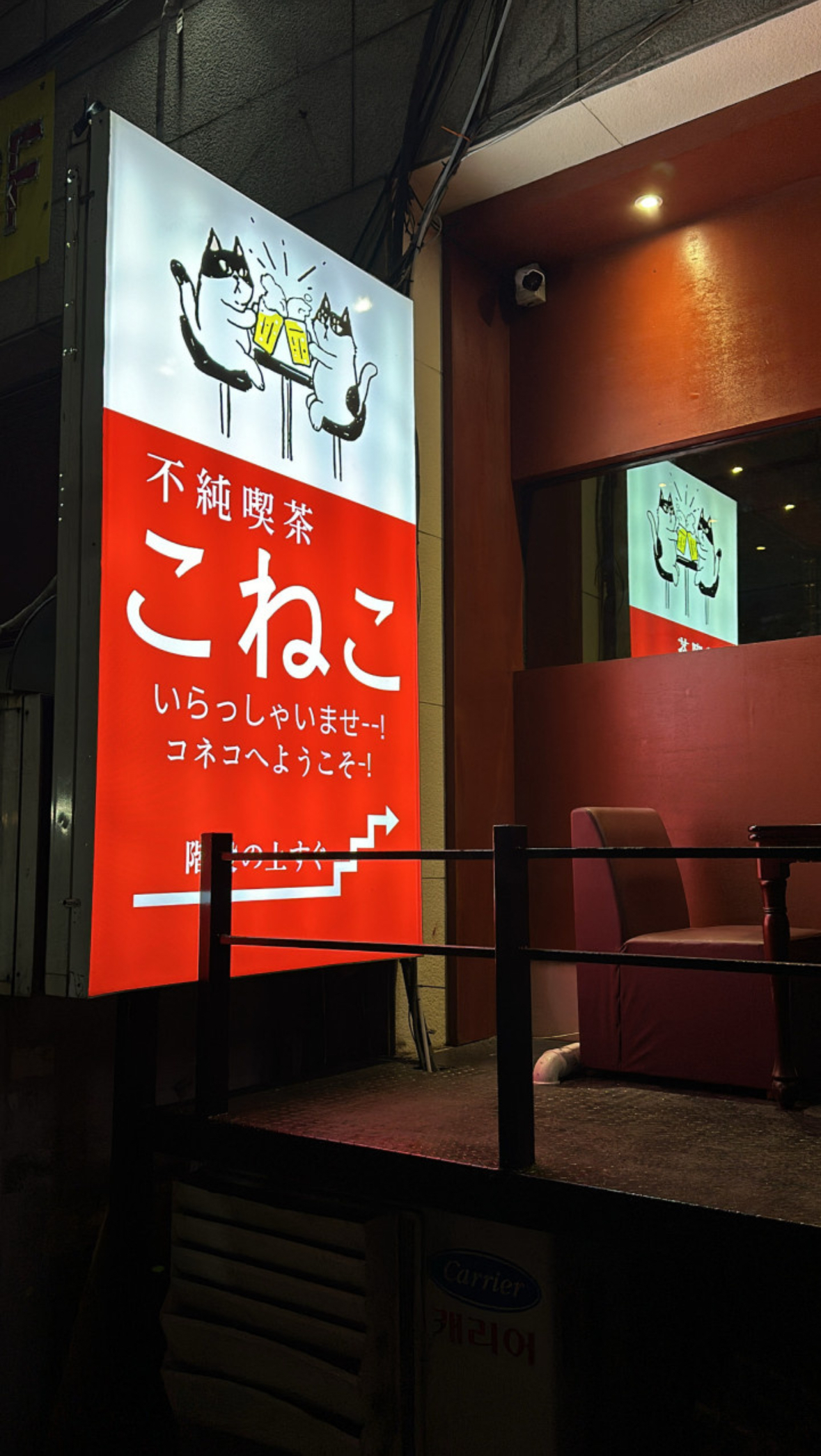 킷사코네코 대표 사진