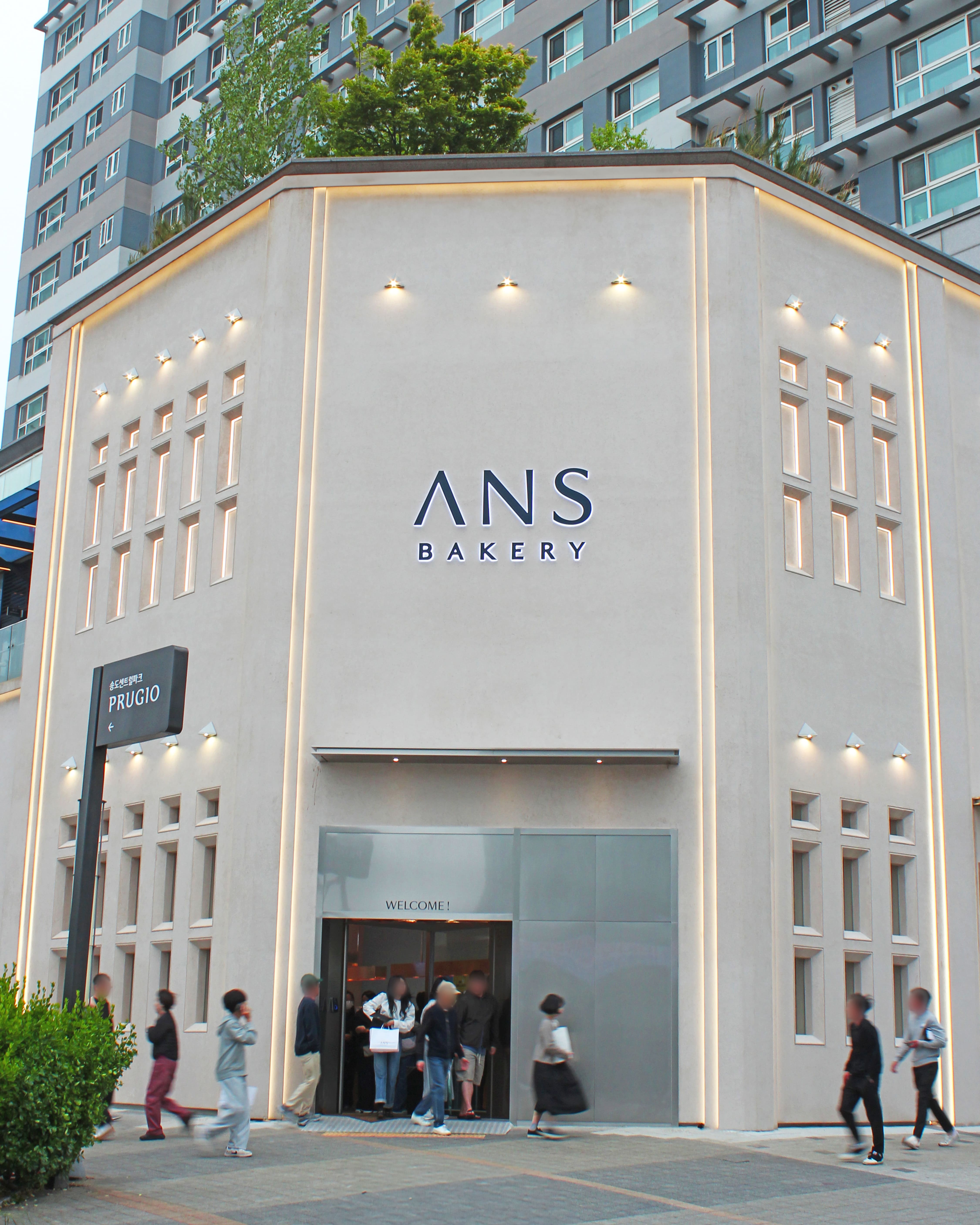Anseu 5