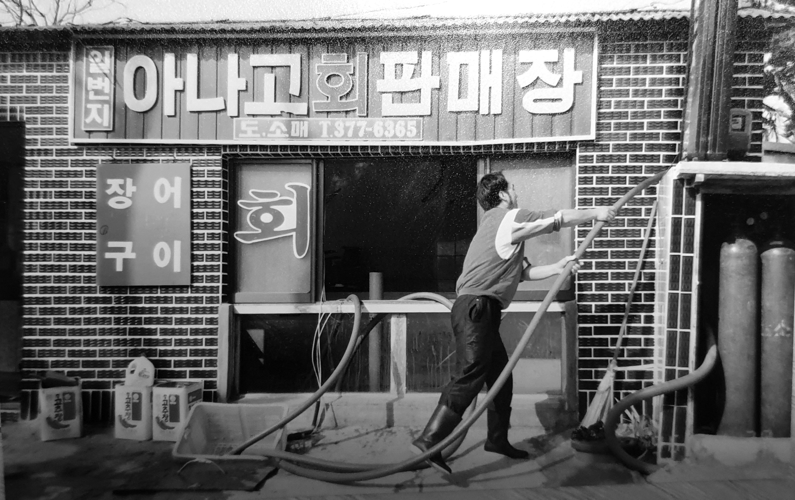 칠암일번지횟집 사진 5