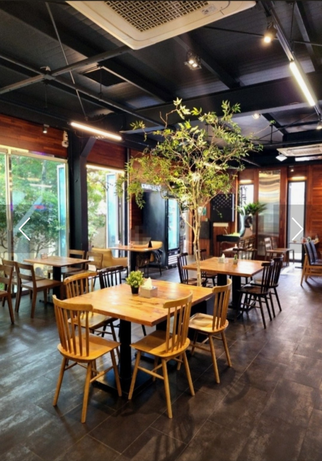 토비코 사진 5