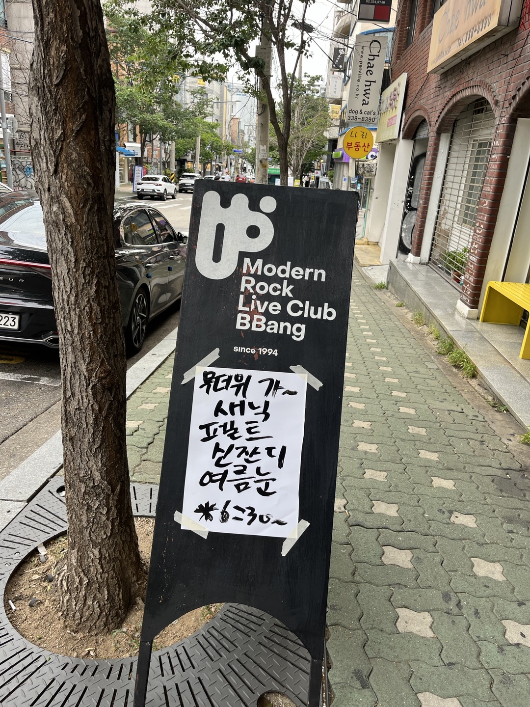 라이브클럽 빵 사진 4