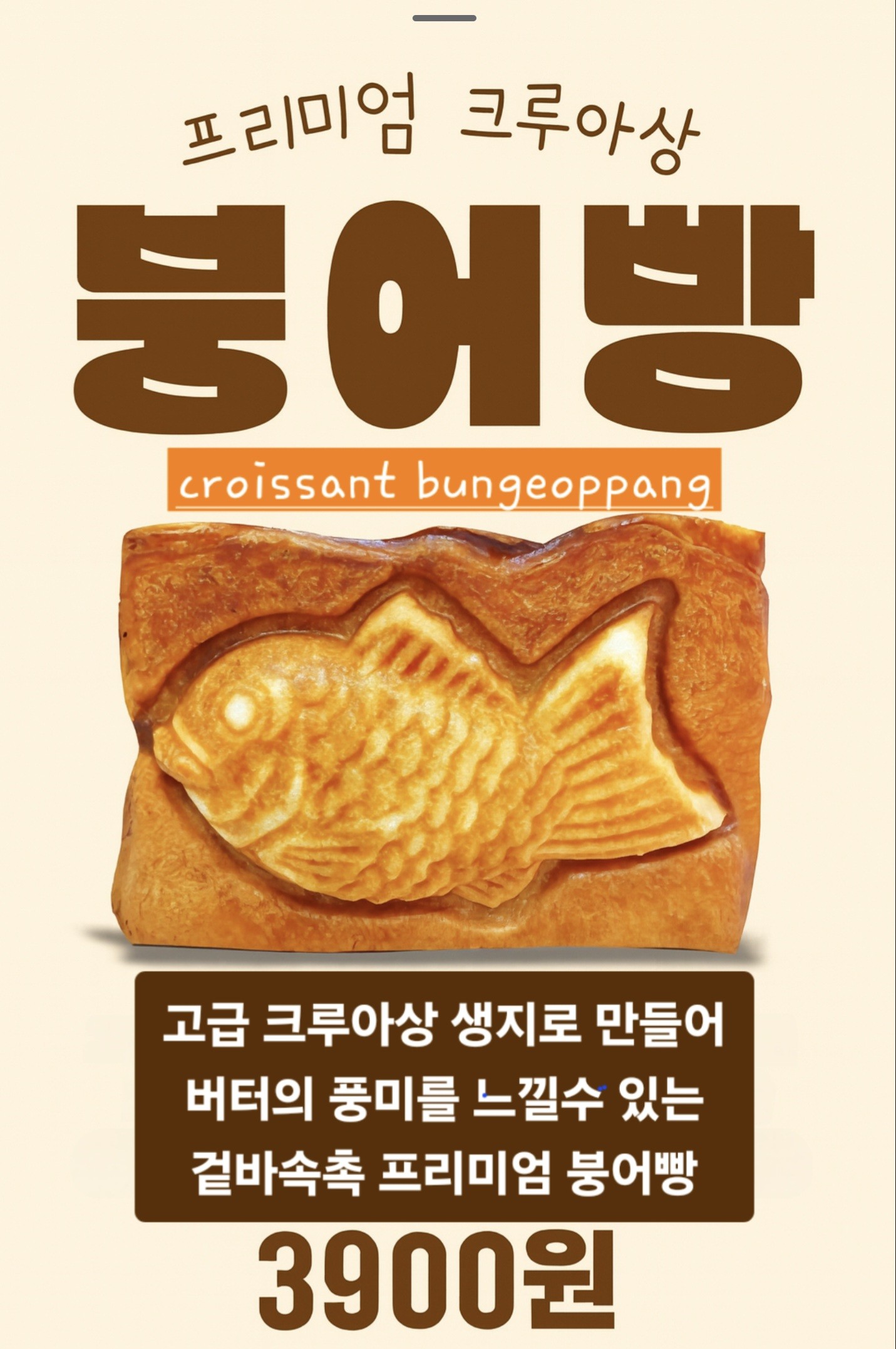 젤라송 사진 5