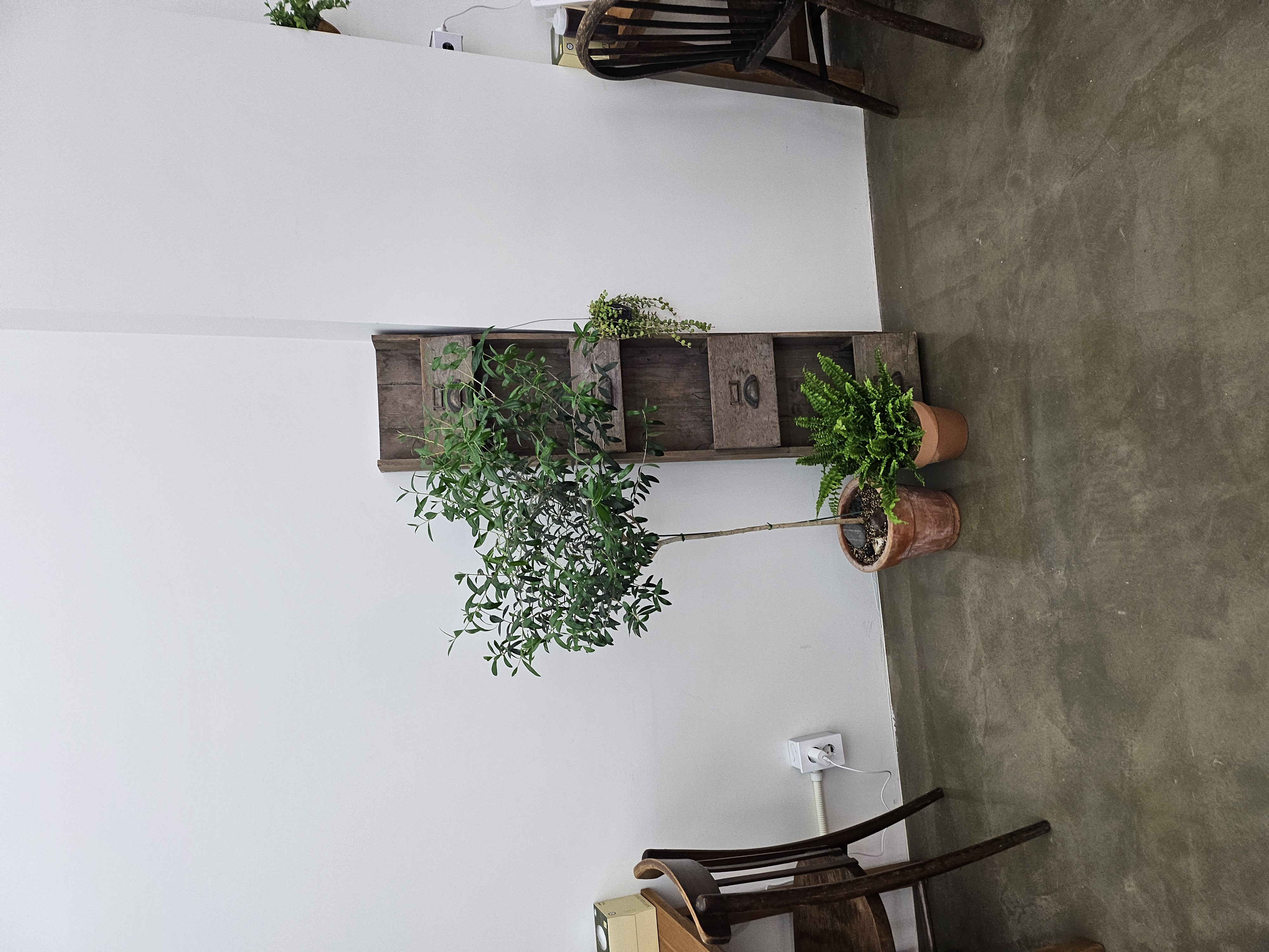 쌀국수집 부산진구점 사진 6