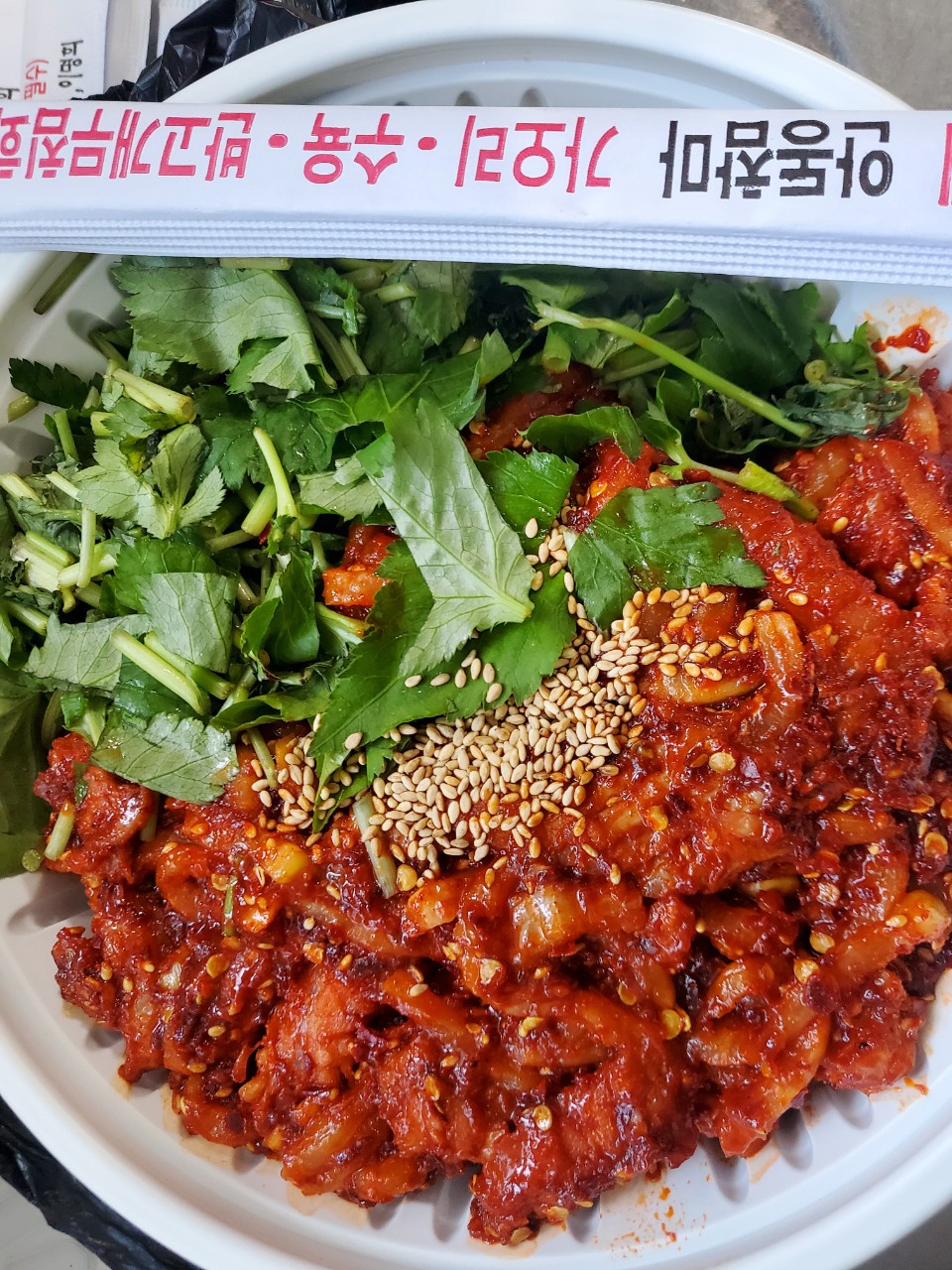 땡기네가오리 2