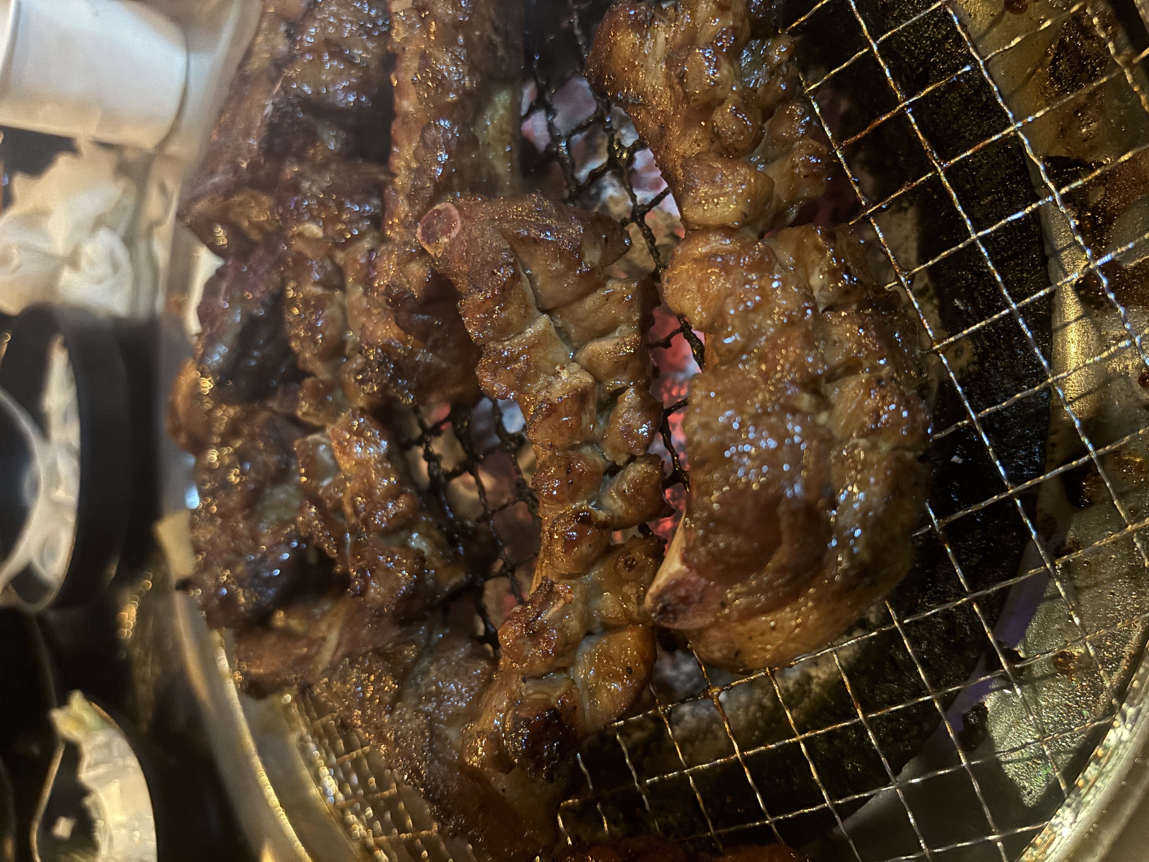 Rokgalbi 1