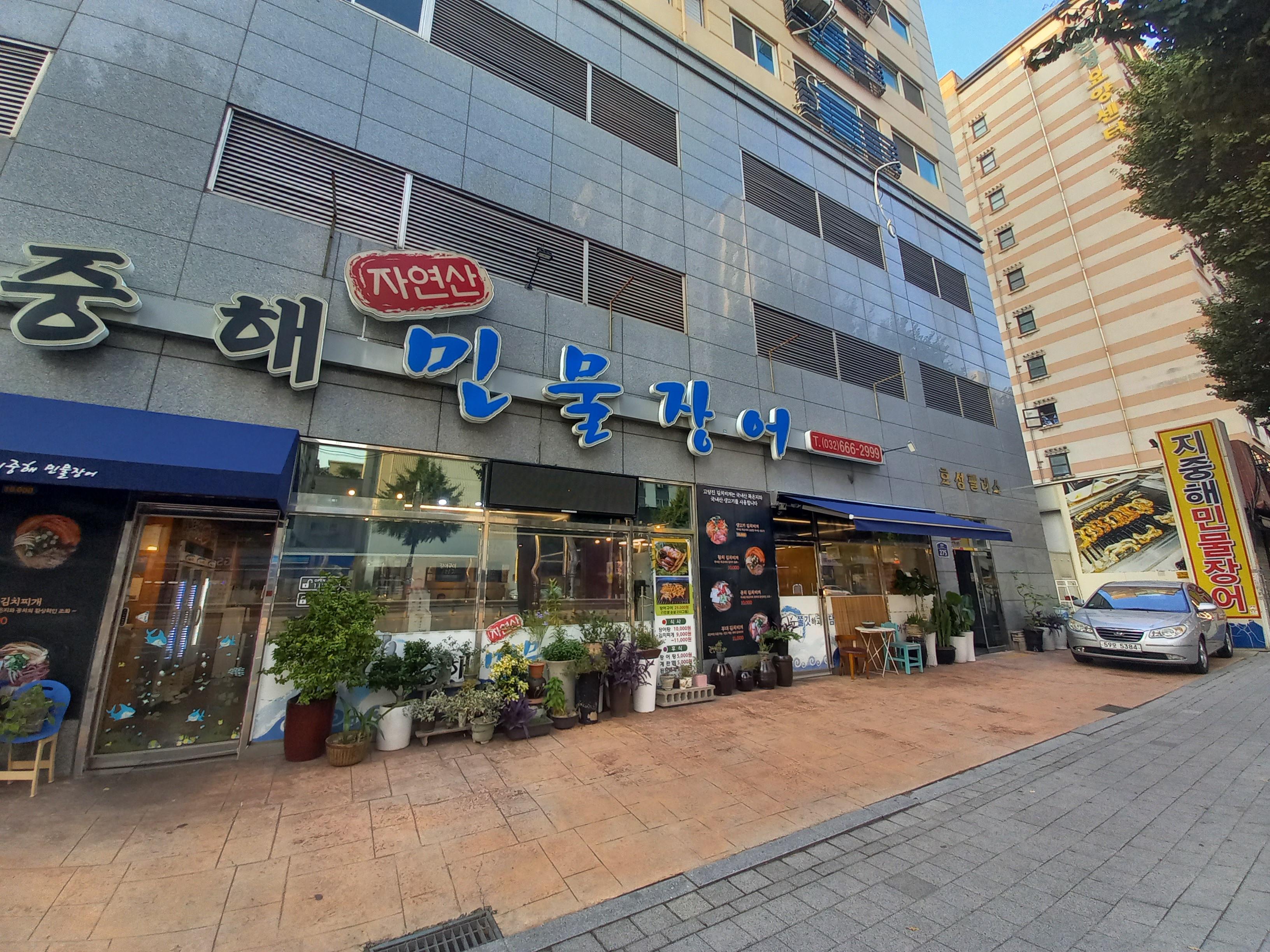 지중해자연산민물장어 사진 3