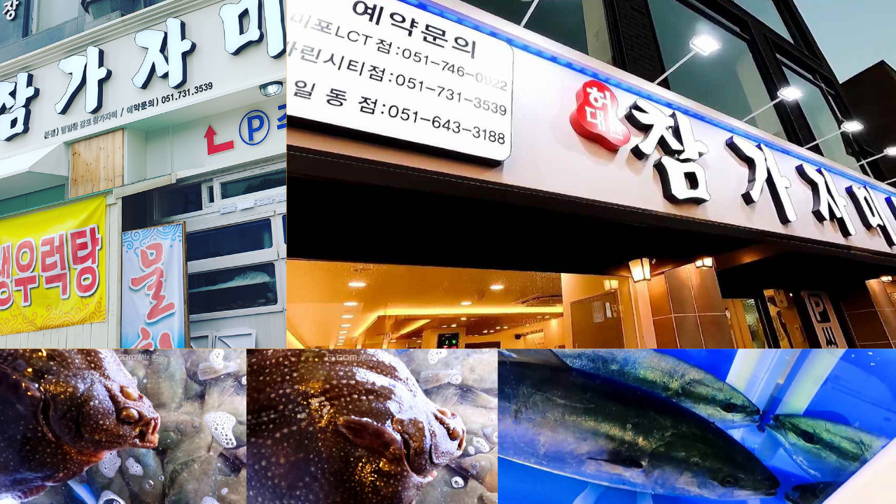 참가자미 해운대미포엘씨티점 사진 4