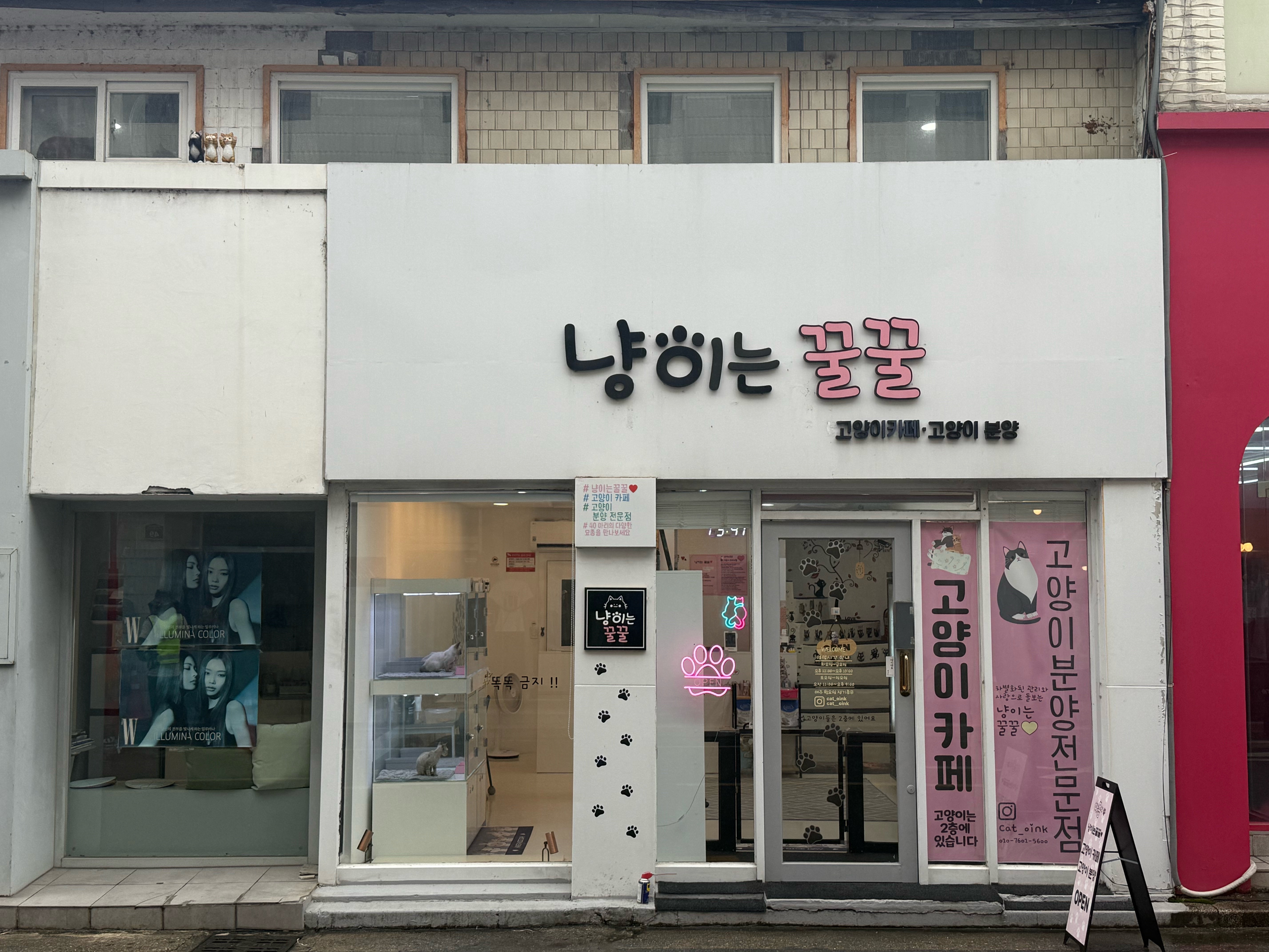 냥이는꿀꿀