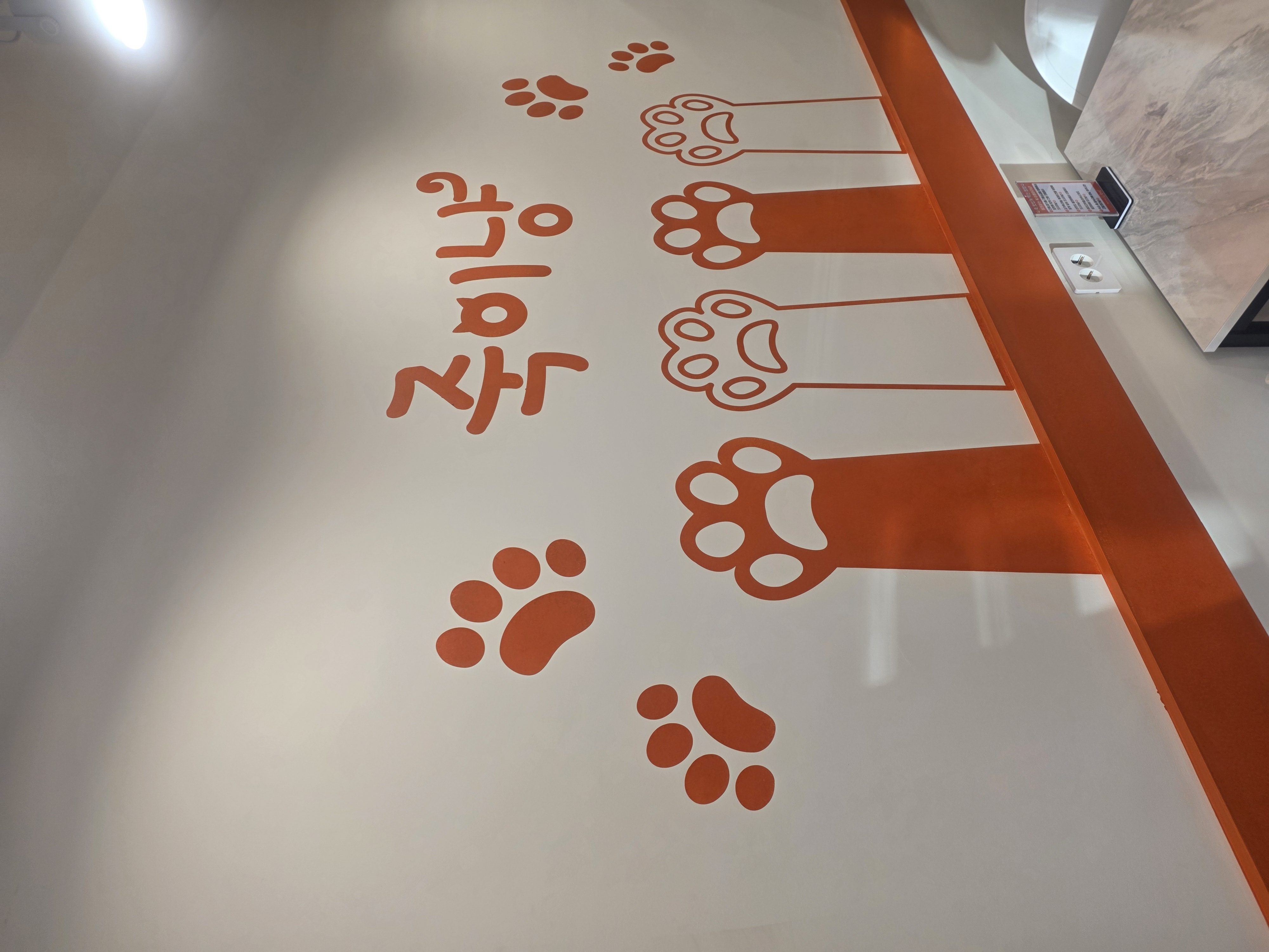 죽이냥 역삼본점 사진 4