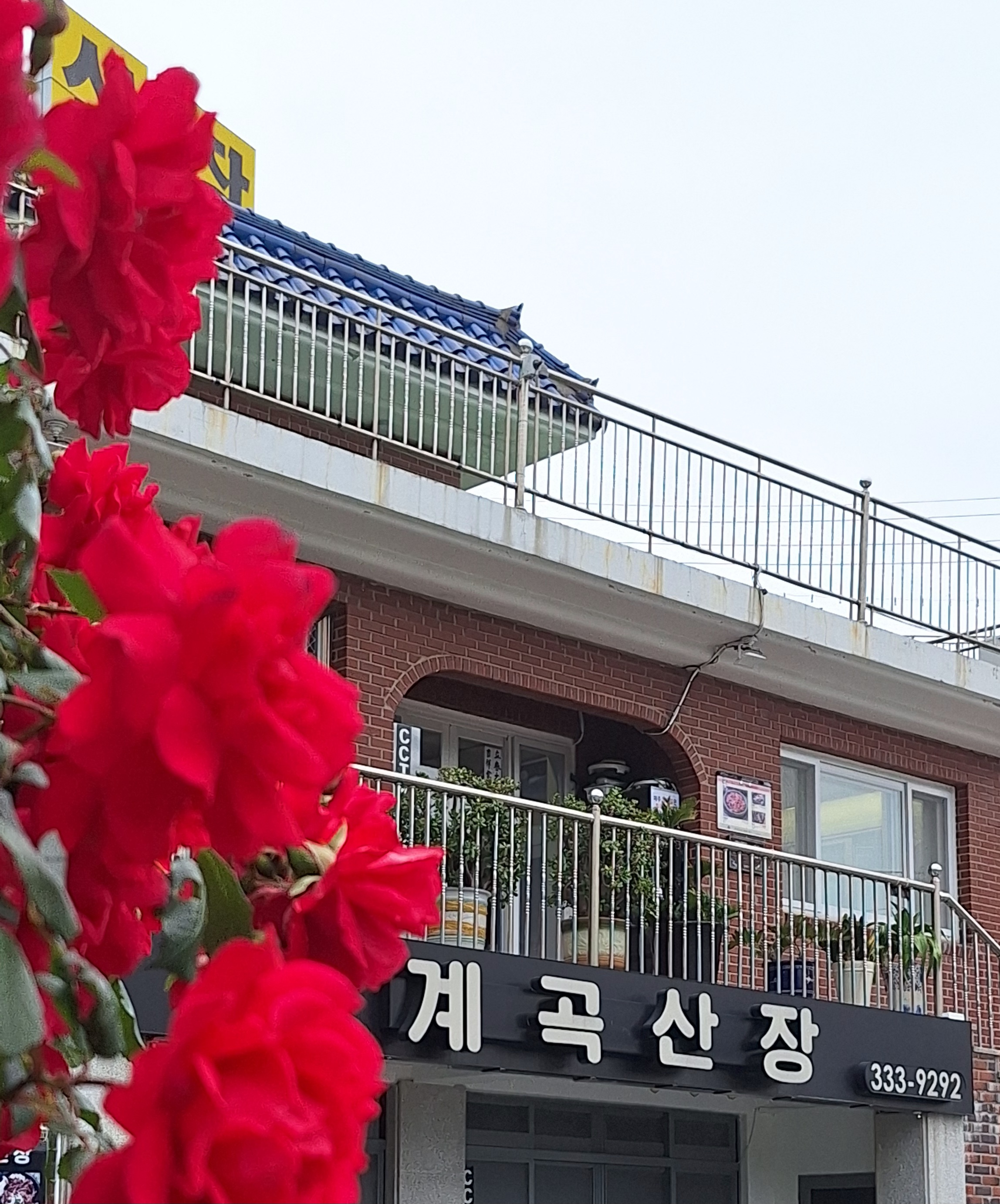 계곡산장 대표 사진