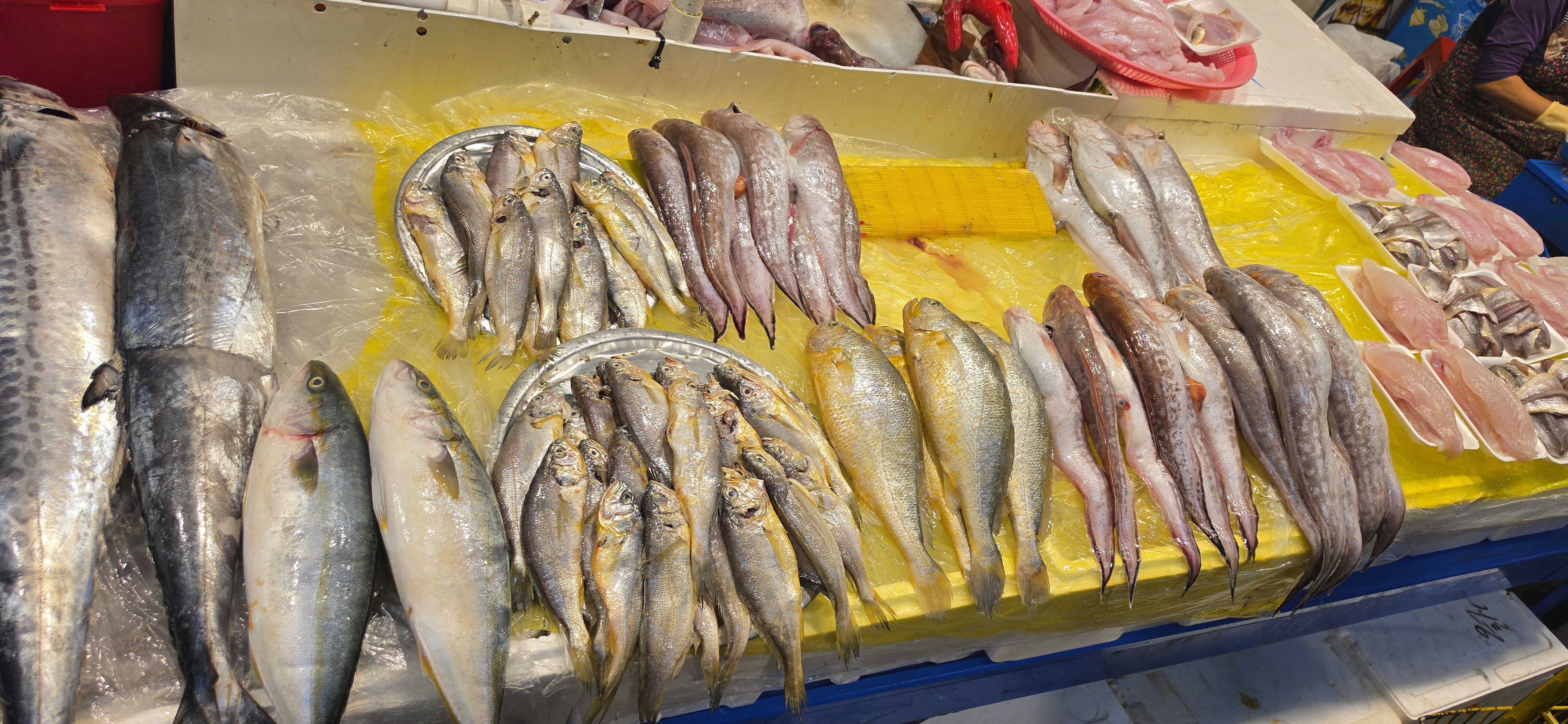 오뚜기 식당 사진 8