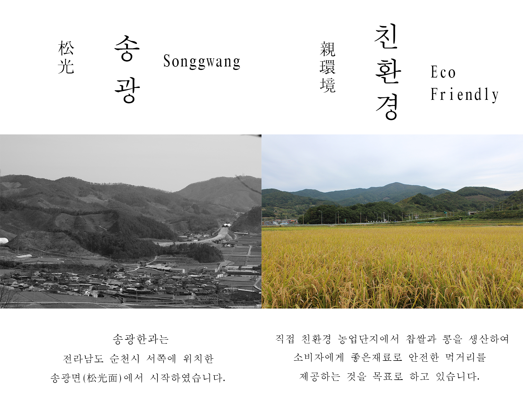 송광한과 사진 2