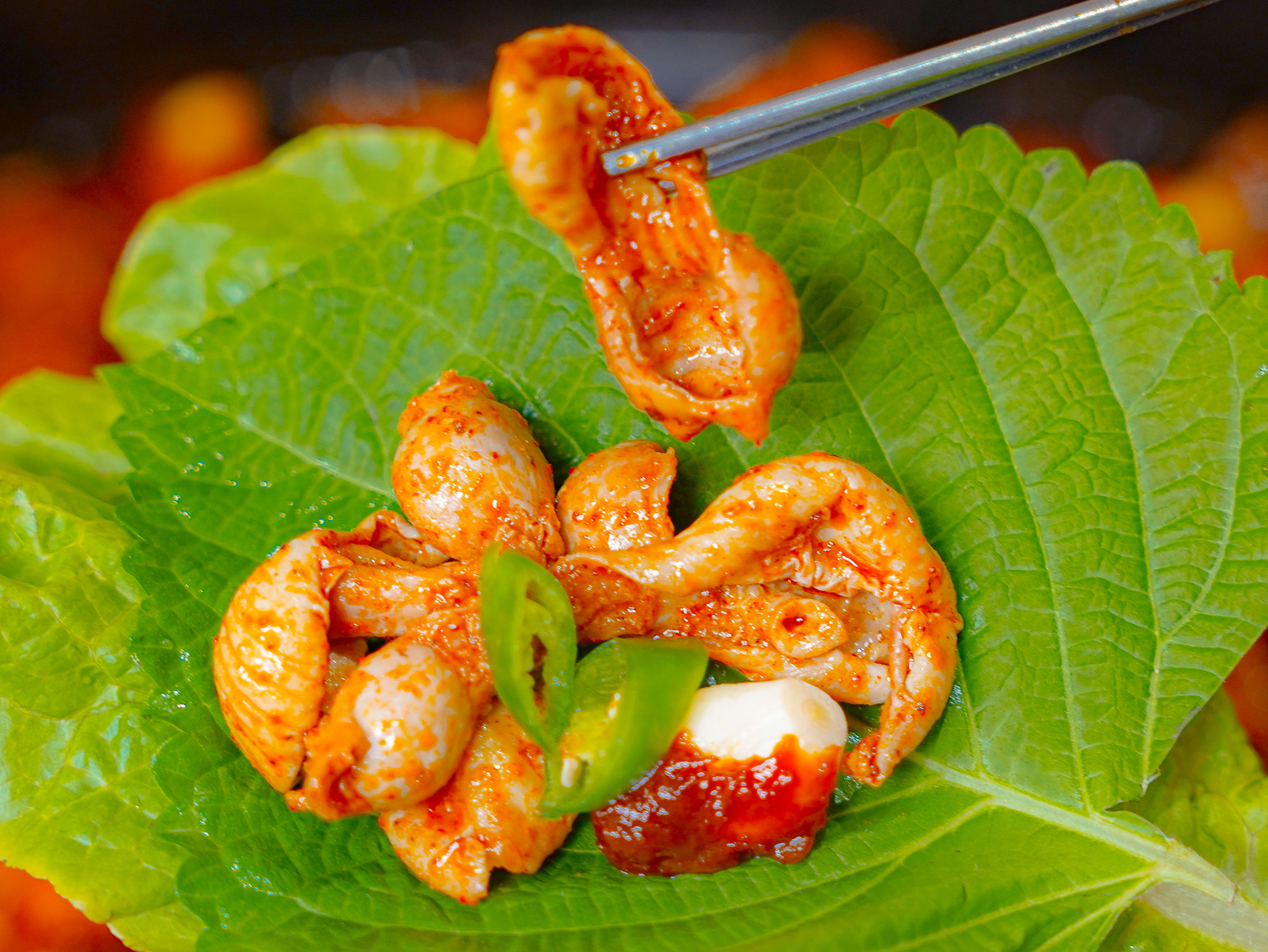 최주영 춘천닭갈비 사직본점 사진 8