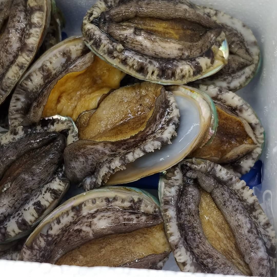 대영상회 사진 8