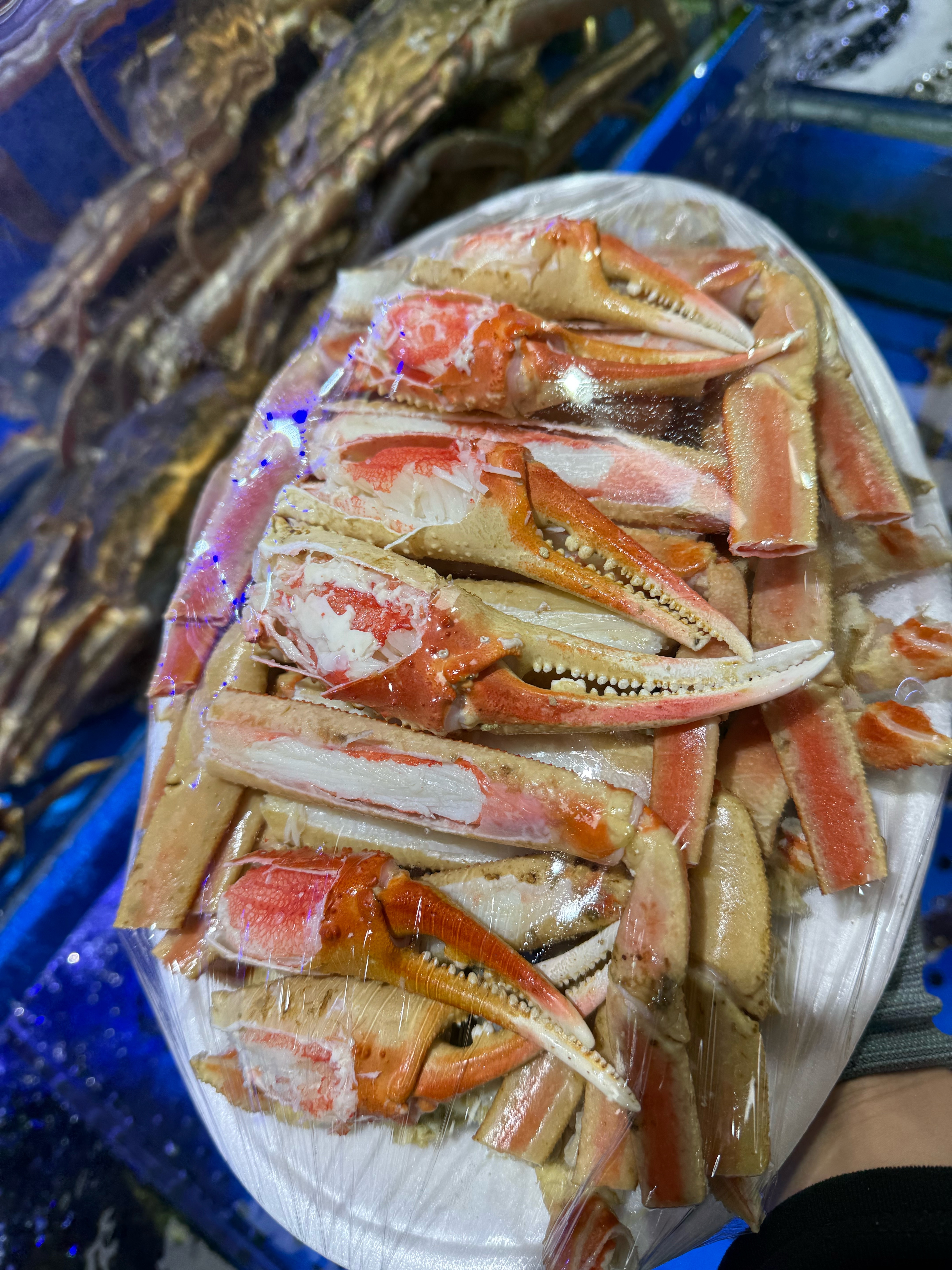 친구수산 사진 4