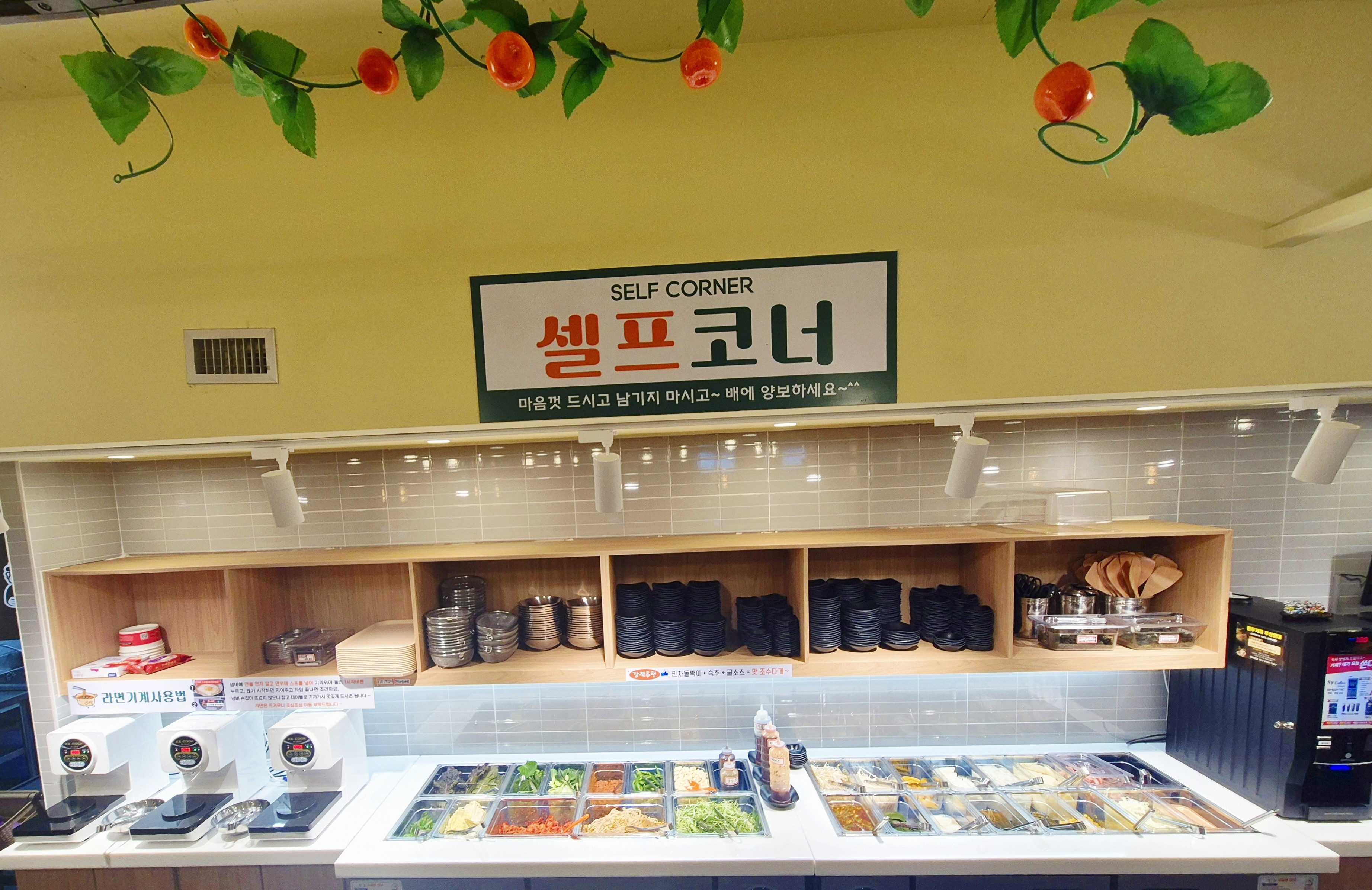 탐라는대패 사진 4