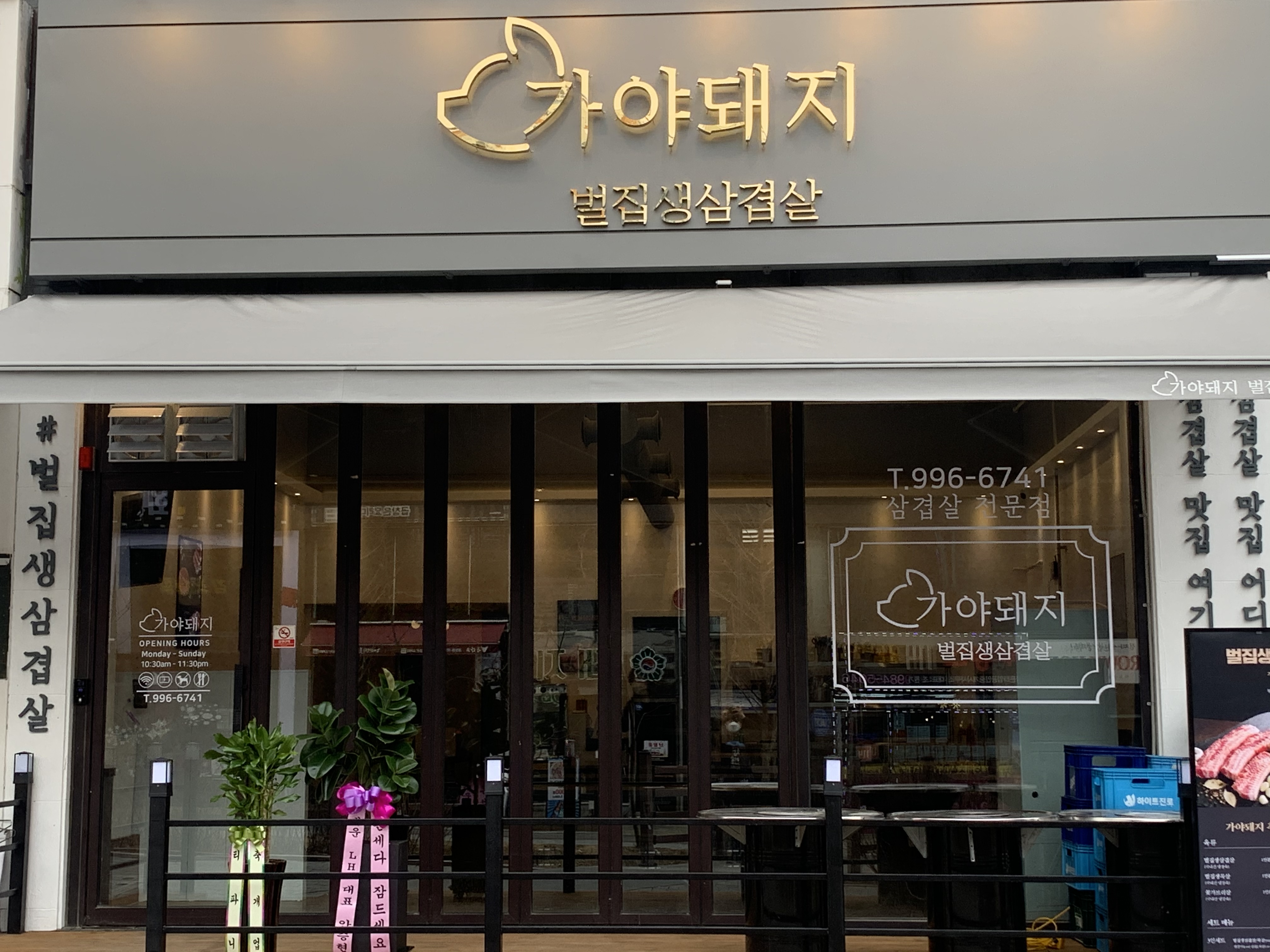 가야돼지 4