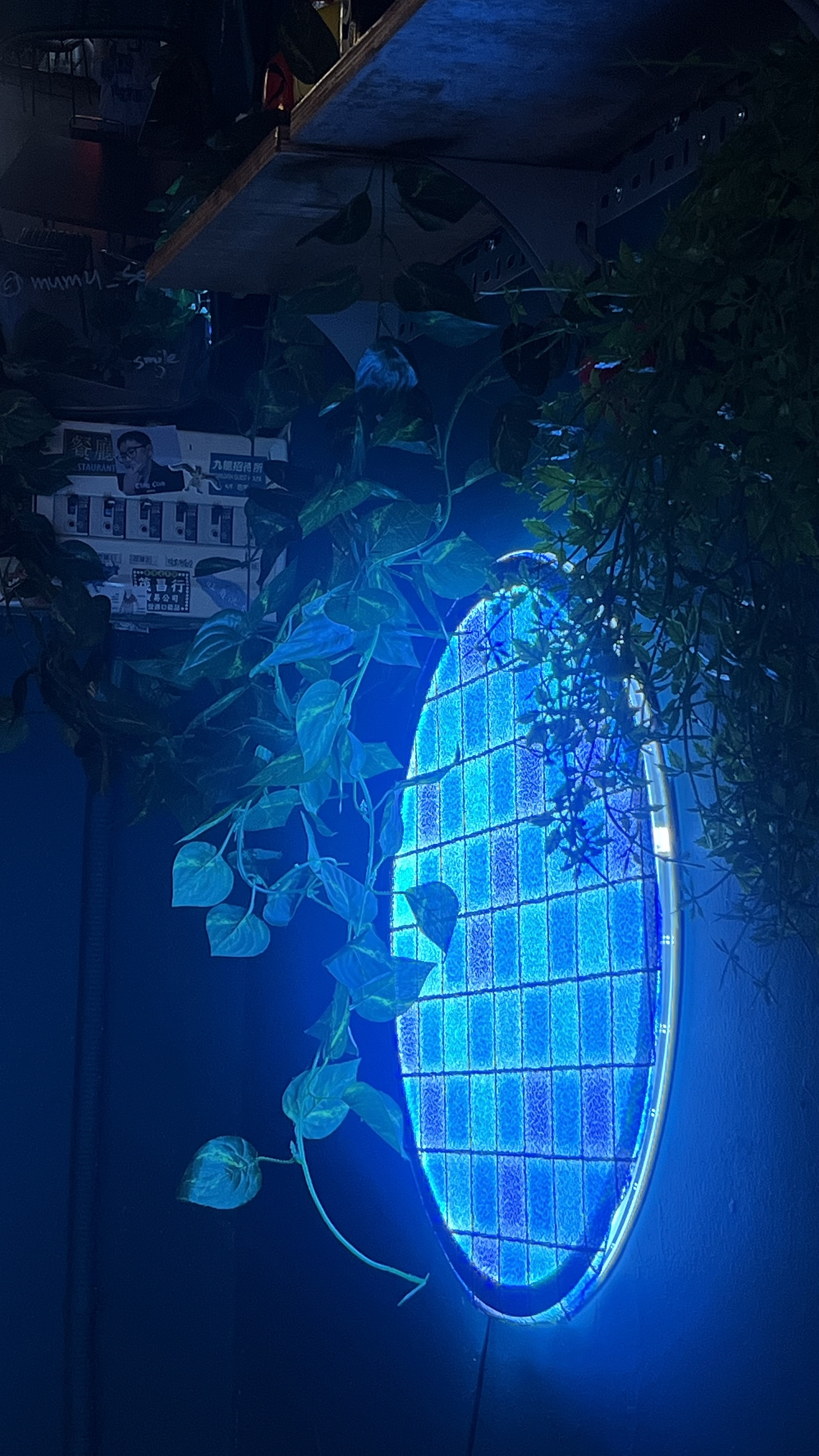 무무 사진 2