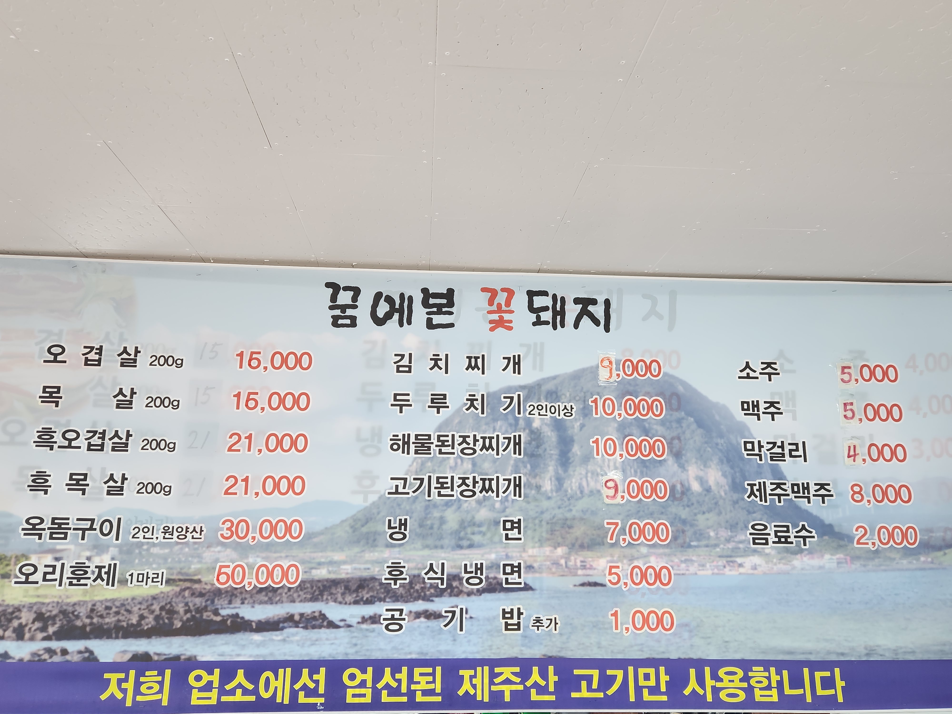 꿈에본꽃돼지 사진 8